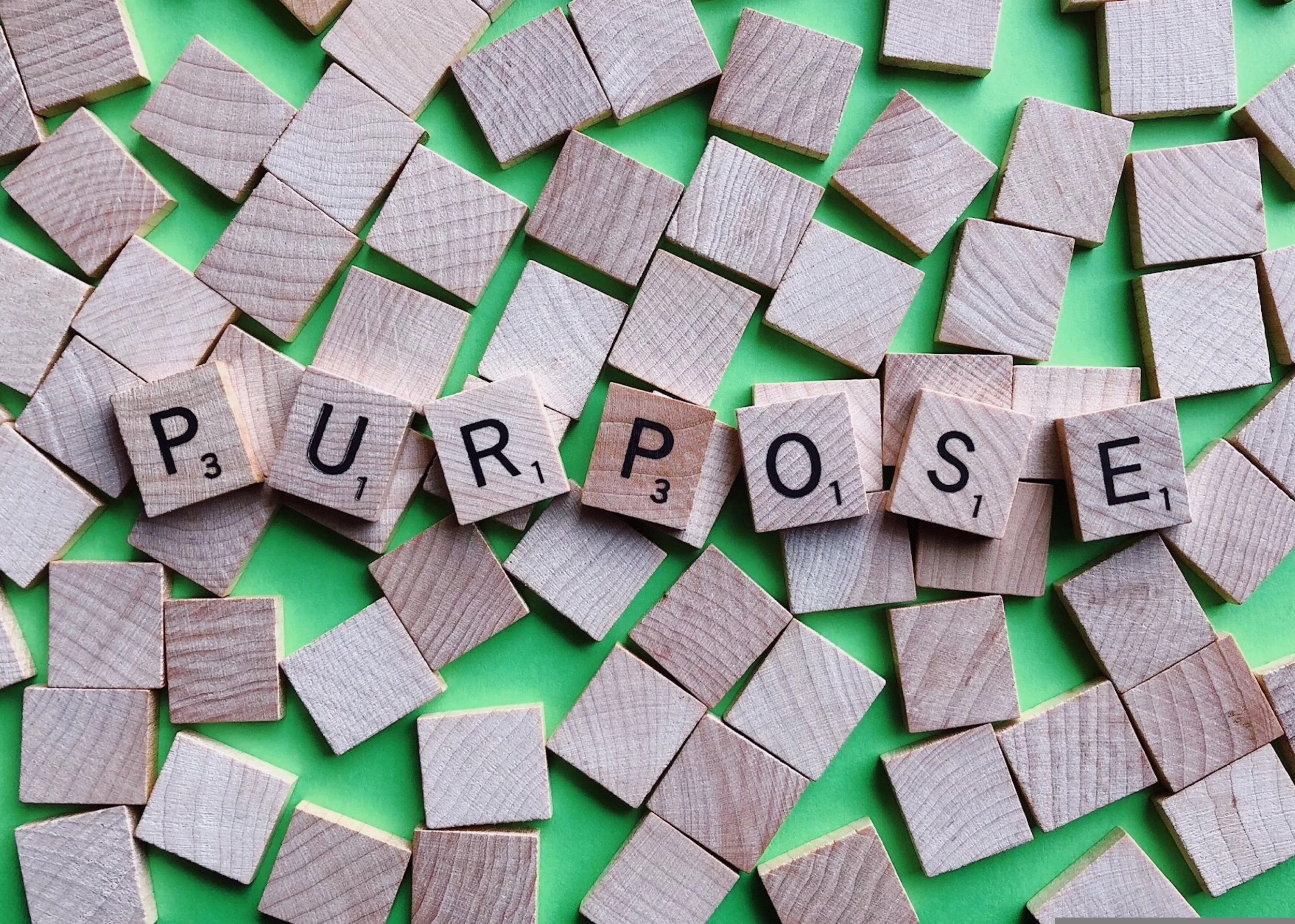 What Is My Purpose in Life?