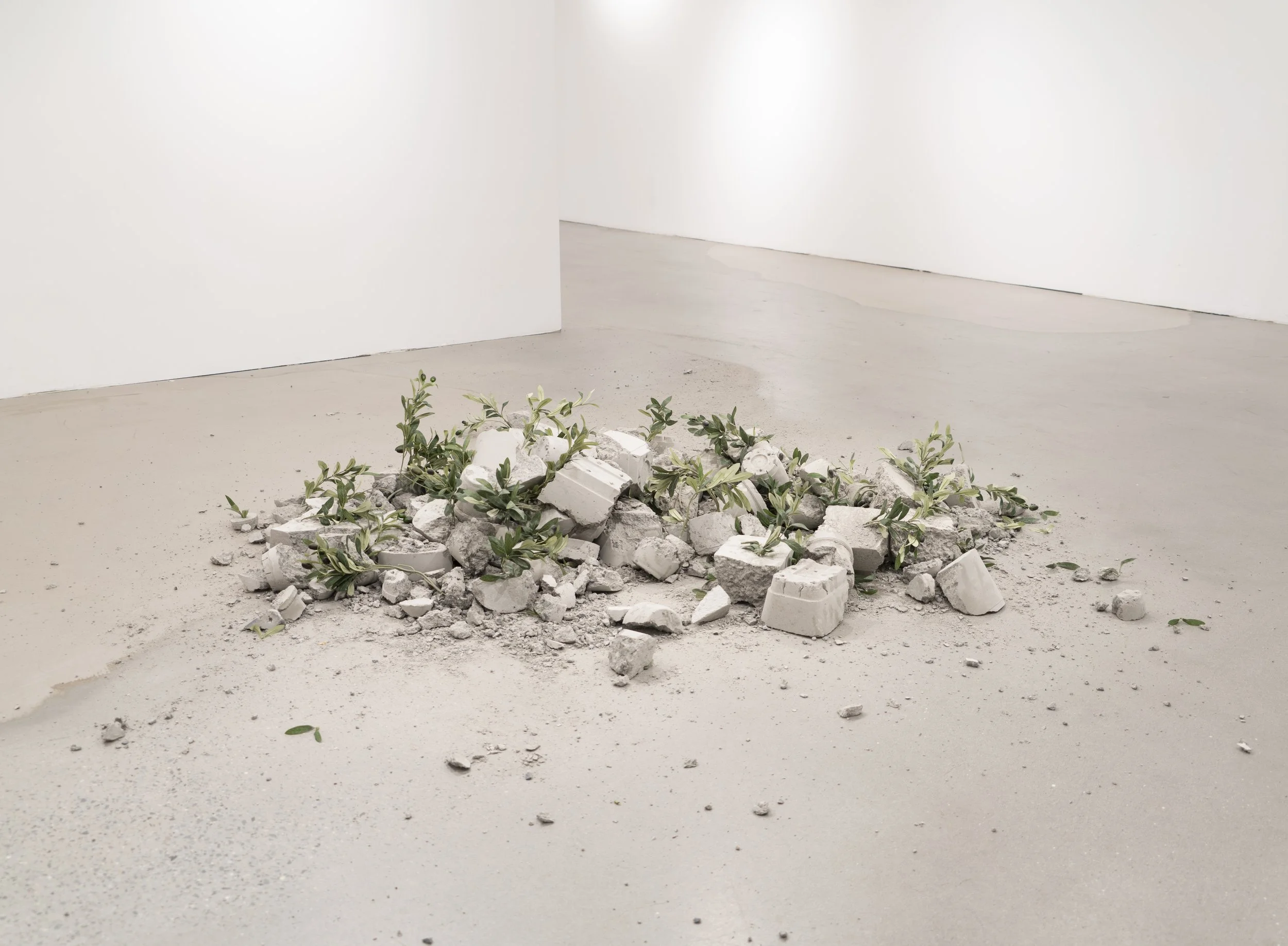 Clean Sweep, 2025 (dimensions vary). High strength concrete, faux olive branches.