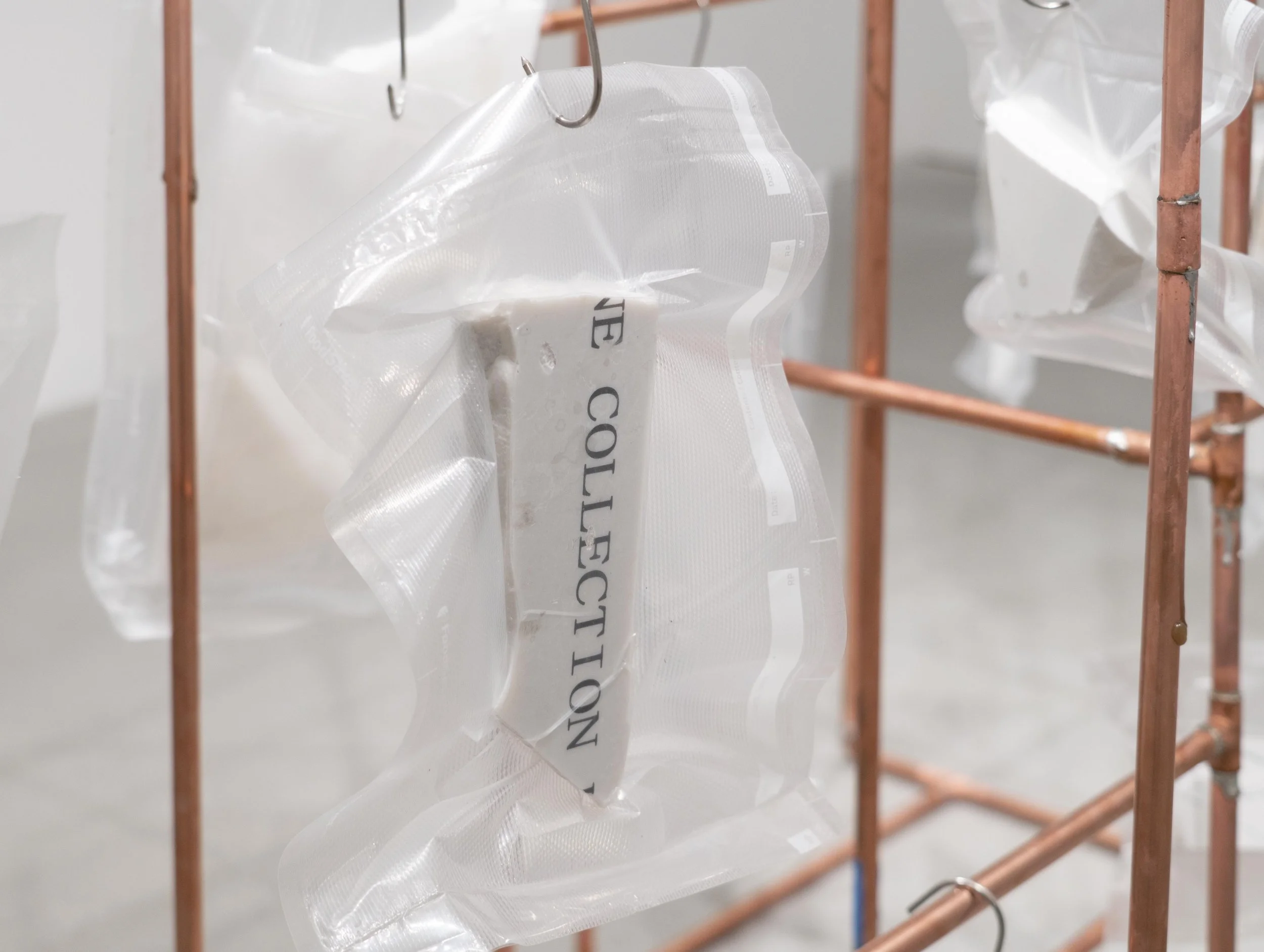 The Collection, 2026 (detail)