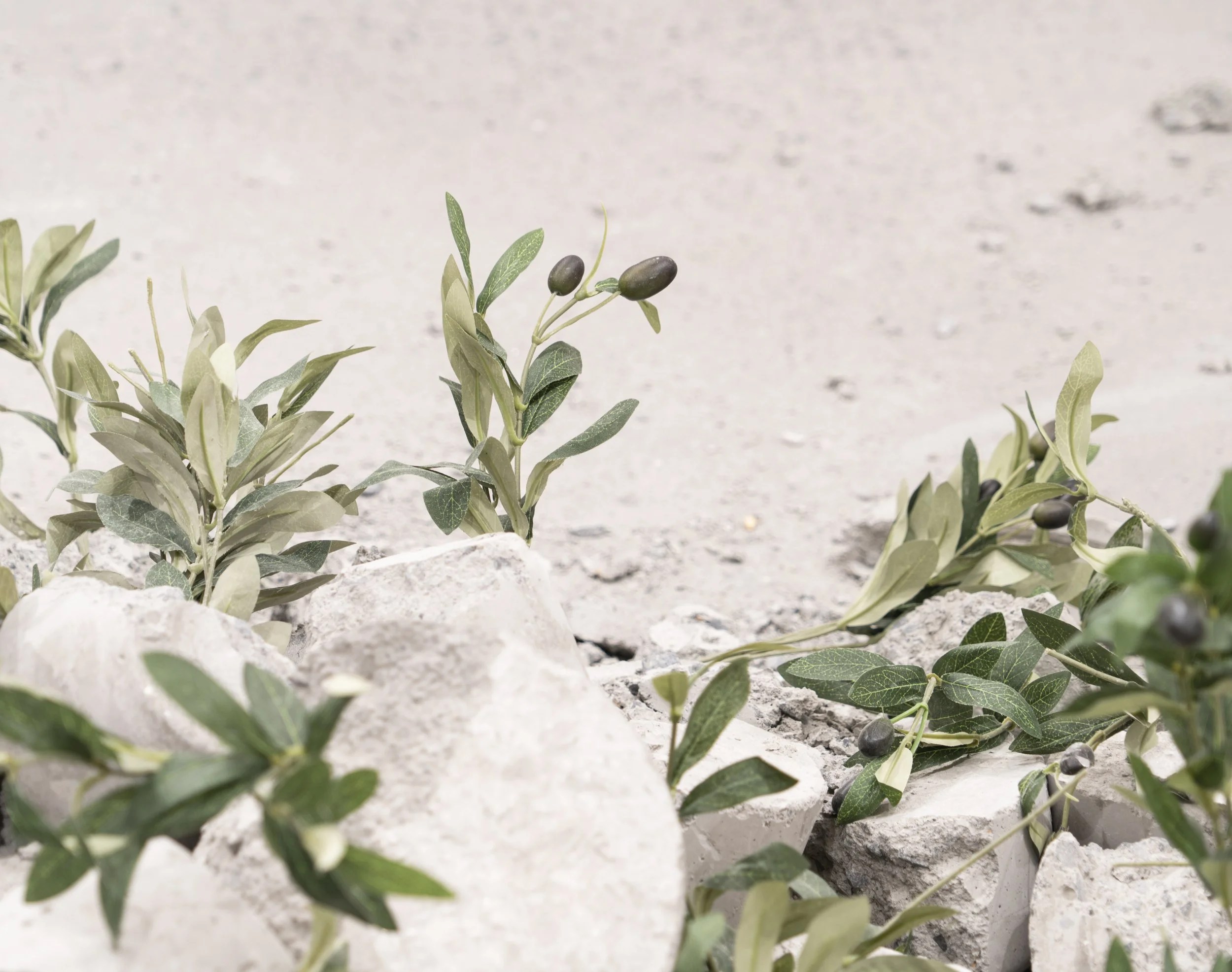 Clean Sweep, 2025 (detail)