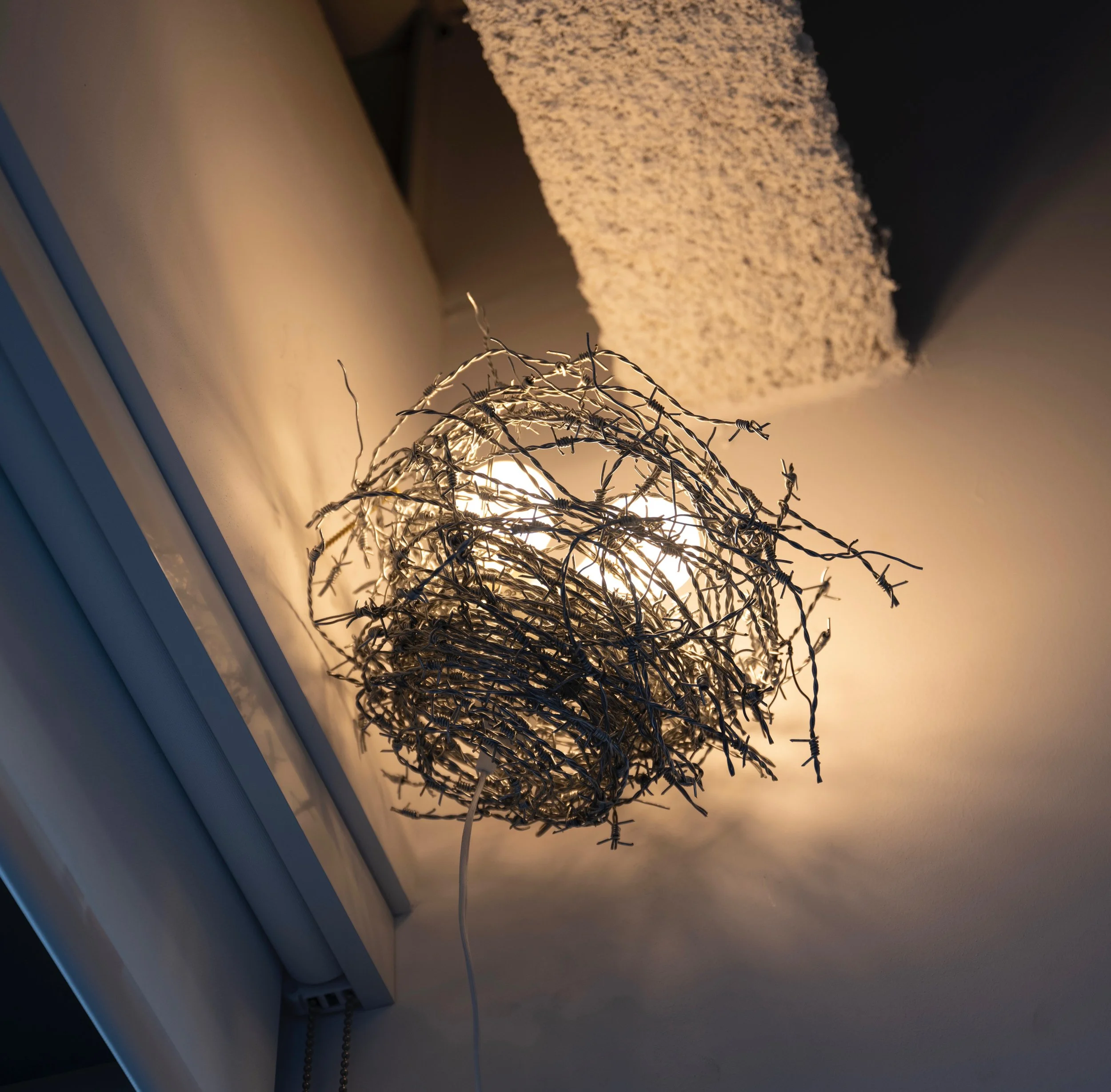 Jump the Nest, 2025 (14 x 16 x 13”)
Barbed wire, light bulbs