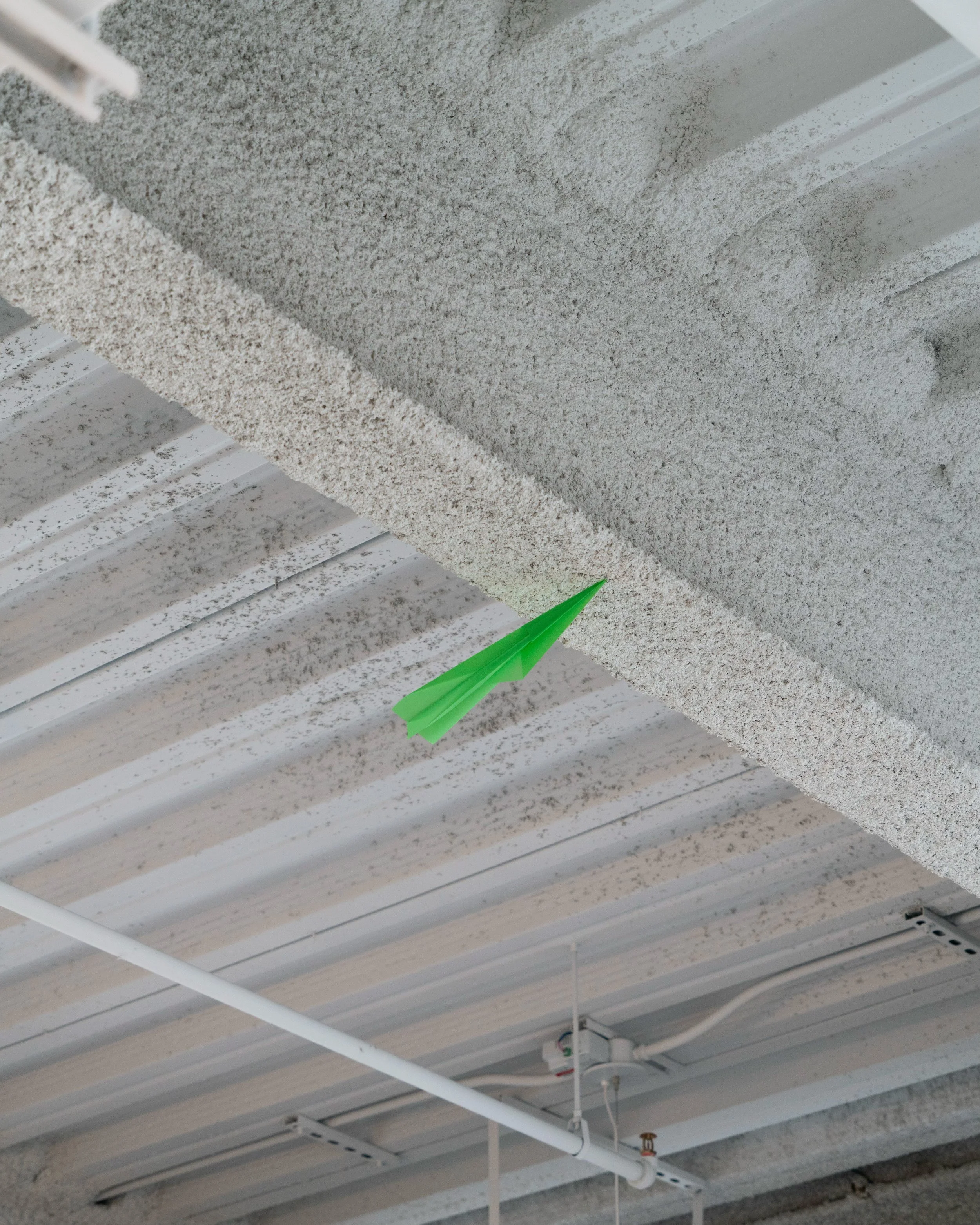 Letting Go, 2025 (detail)