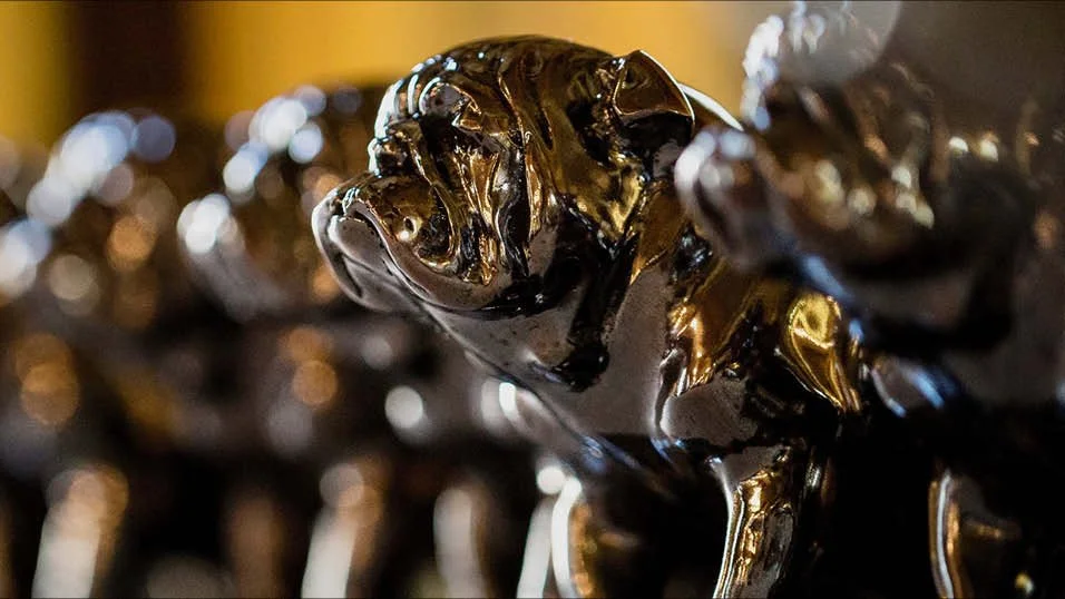 Netflix's Our Planet 2 nominated for 2023 Televisual Bulldog Award in the music category
