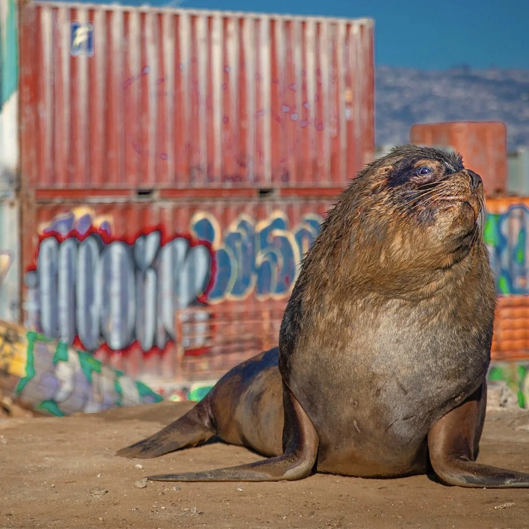 First Episode of "Mammals" airs 31 March at 7pm on BBC One