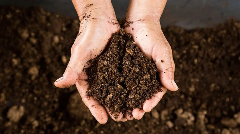 Soil – Dishing the Dirt!