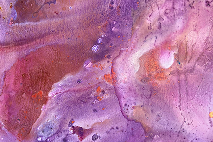 Exhibition: Tess Carey