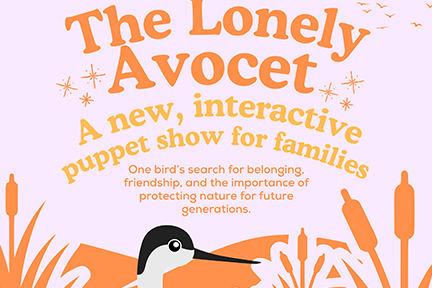The Lonely Avocet - family-friendly puppetry