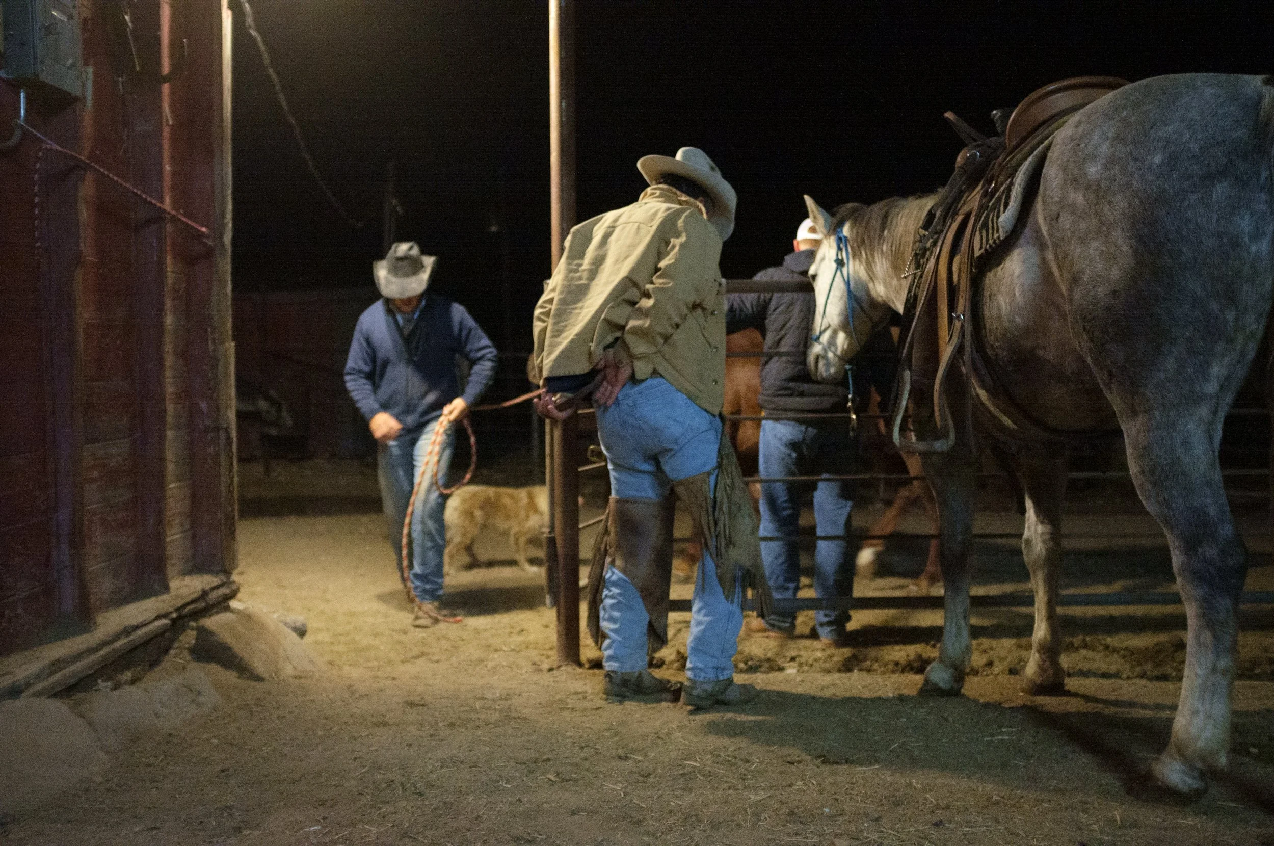 Saddle up