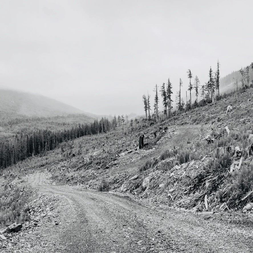 "Eating Forests" - Vancouver Island