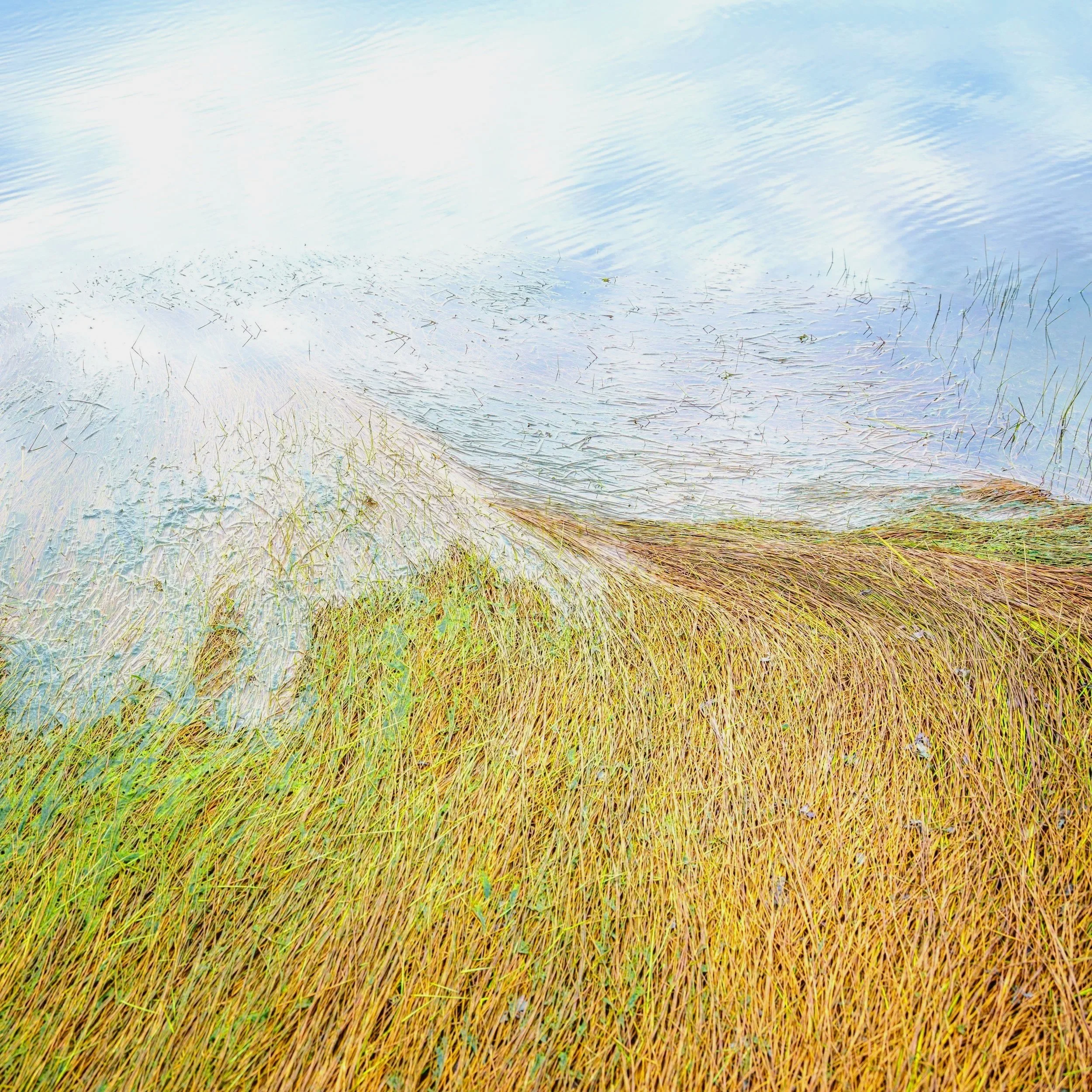 Shoreline