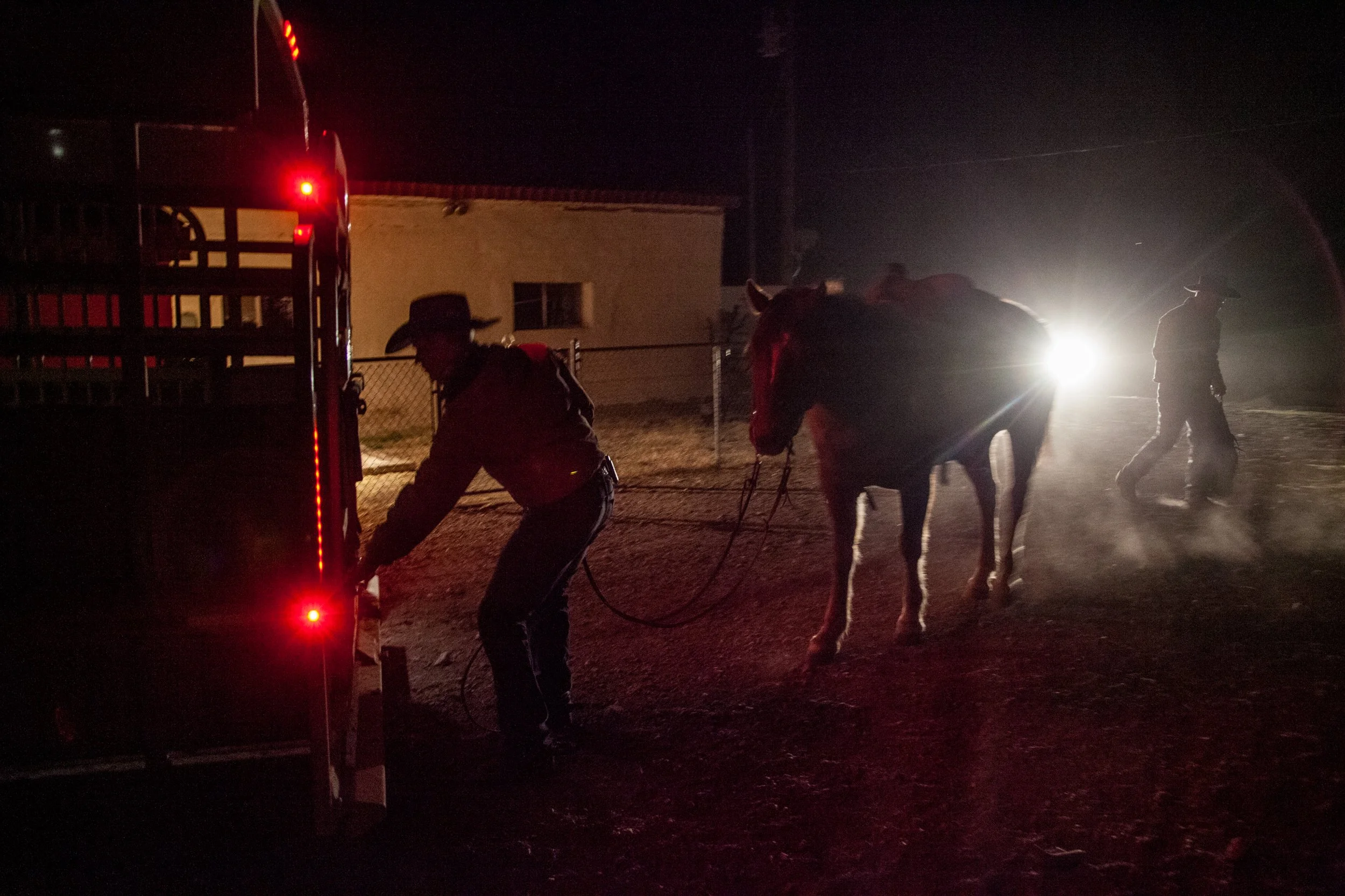 Loading the horse trailer