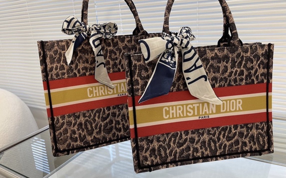 Christian Dior Book tote-ON HAND