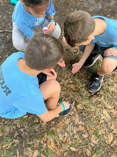 Three kids with short hair and blue shirts are crouching and kneeling on the ground, examining leaves and soil in a wooded outdoor area.
