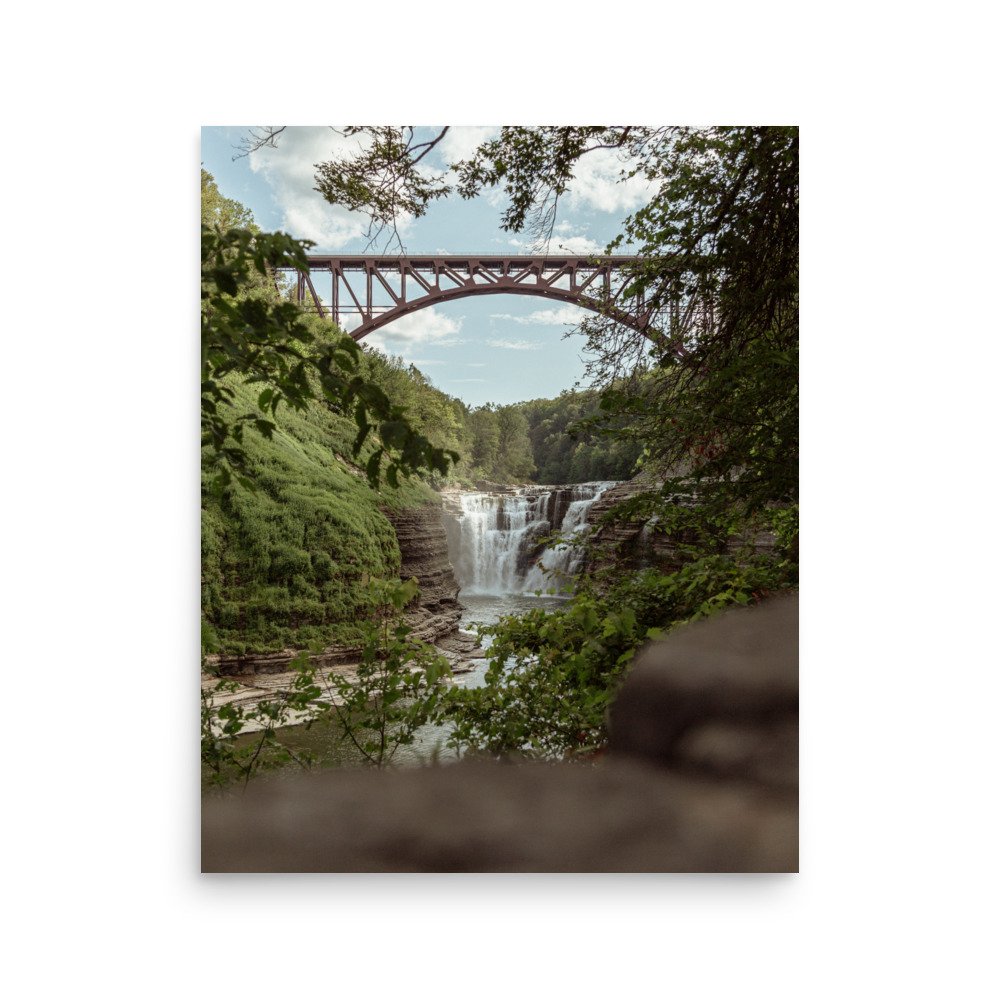 enhanced-matte-paper-poster-(in)-16x20-front-65c10701f3e57.jpg