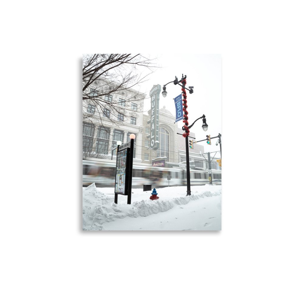 enhanced-matte-paper-poster-(in)-11x14-front-65c10b40a7d58.jpg