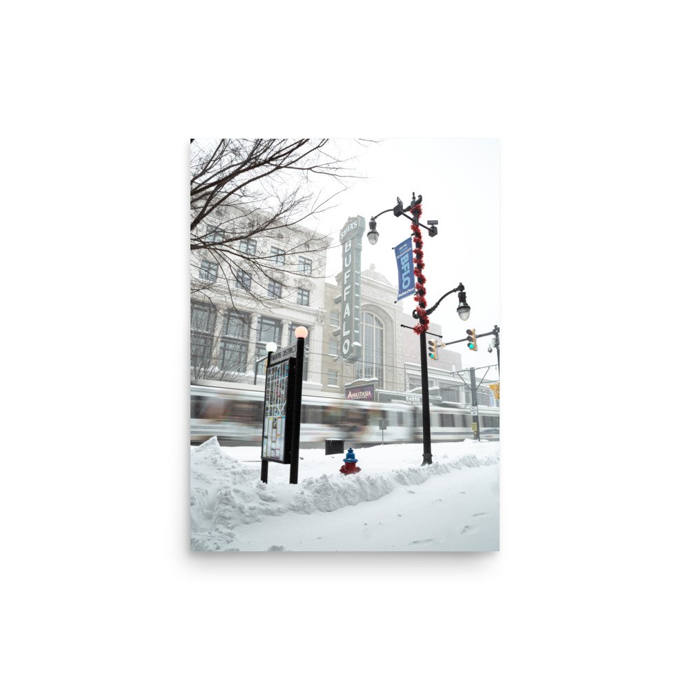 enhanced-matte-paper-poster-(in)-12x16-front-65c10b40a7ecc.jpg