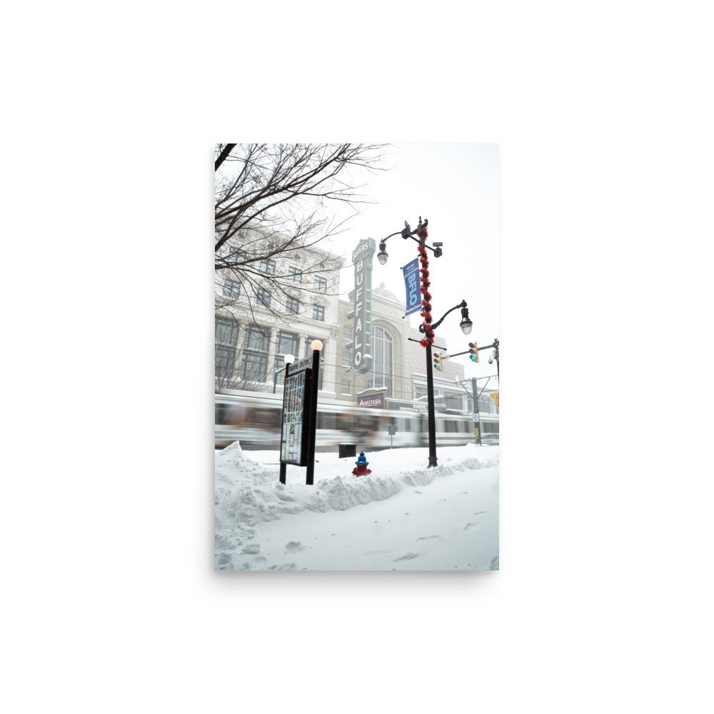 enhanced-matte-paper-poster-(in)-12x18-front-65c10b40a7fae.jpg