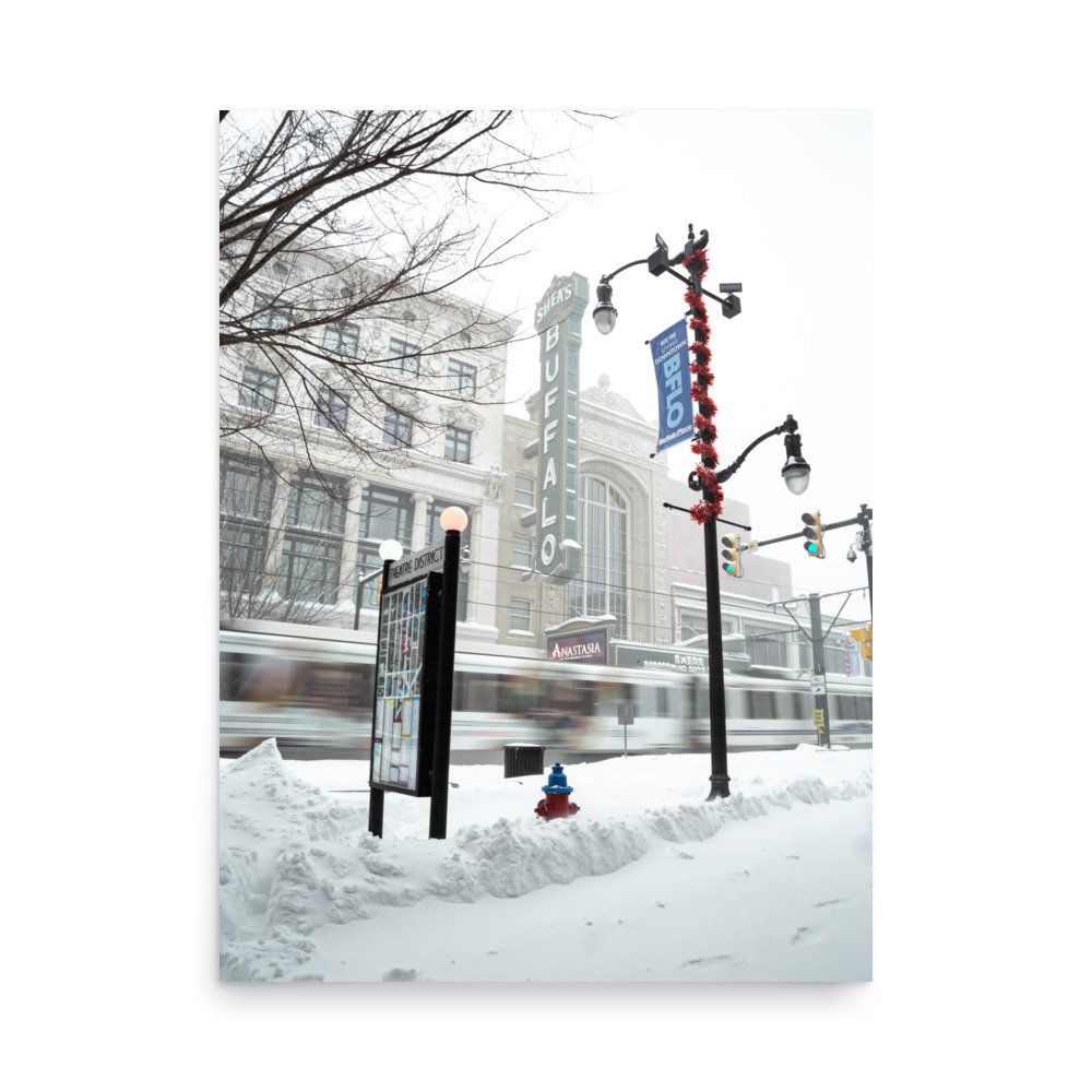 enhanced-matte-paper-poster-(in)-18x24-front-65c10b40a8137.jpg