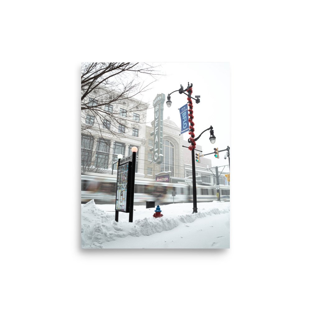 enhanced-matte-paper-poster-(in)-8x10-front-65c10b40a830d.jpg