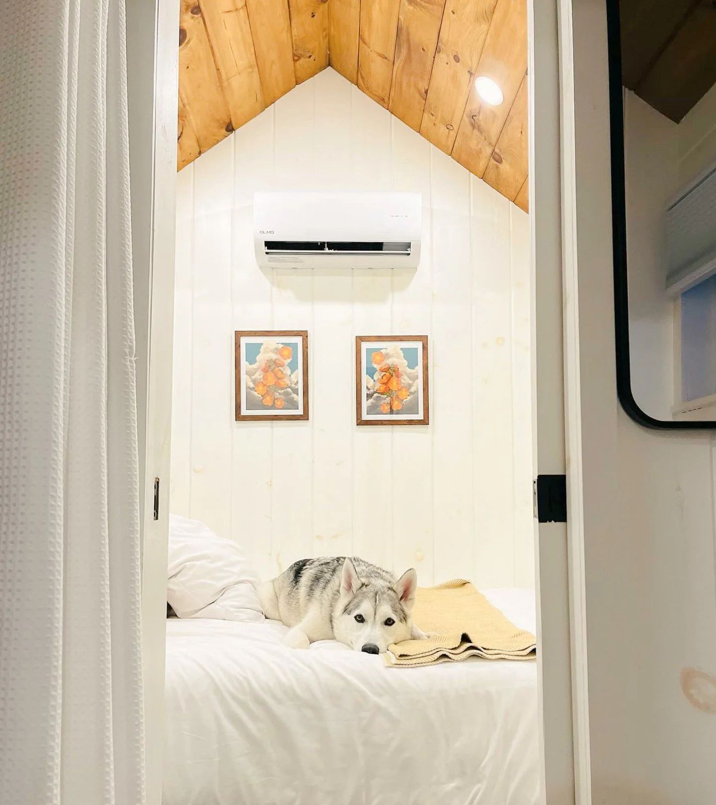 Our Fall Favs include (but are not limited to):
🛌 comfy beds made for cuddles
🍁 cooler temps and fall foliage
🐕 pet friendly getaways any time of year
Camp Eddy is ready for you and your furry friend. Book today.