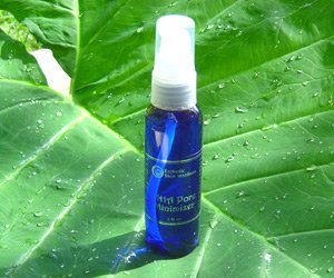 AHA Pore Minimizer.jpg