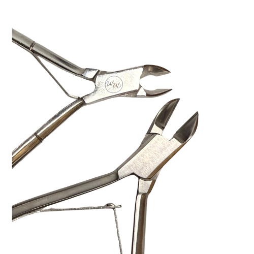 jaw size comparison .png
