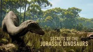Dino Doc.jpeg