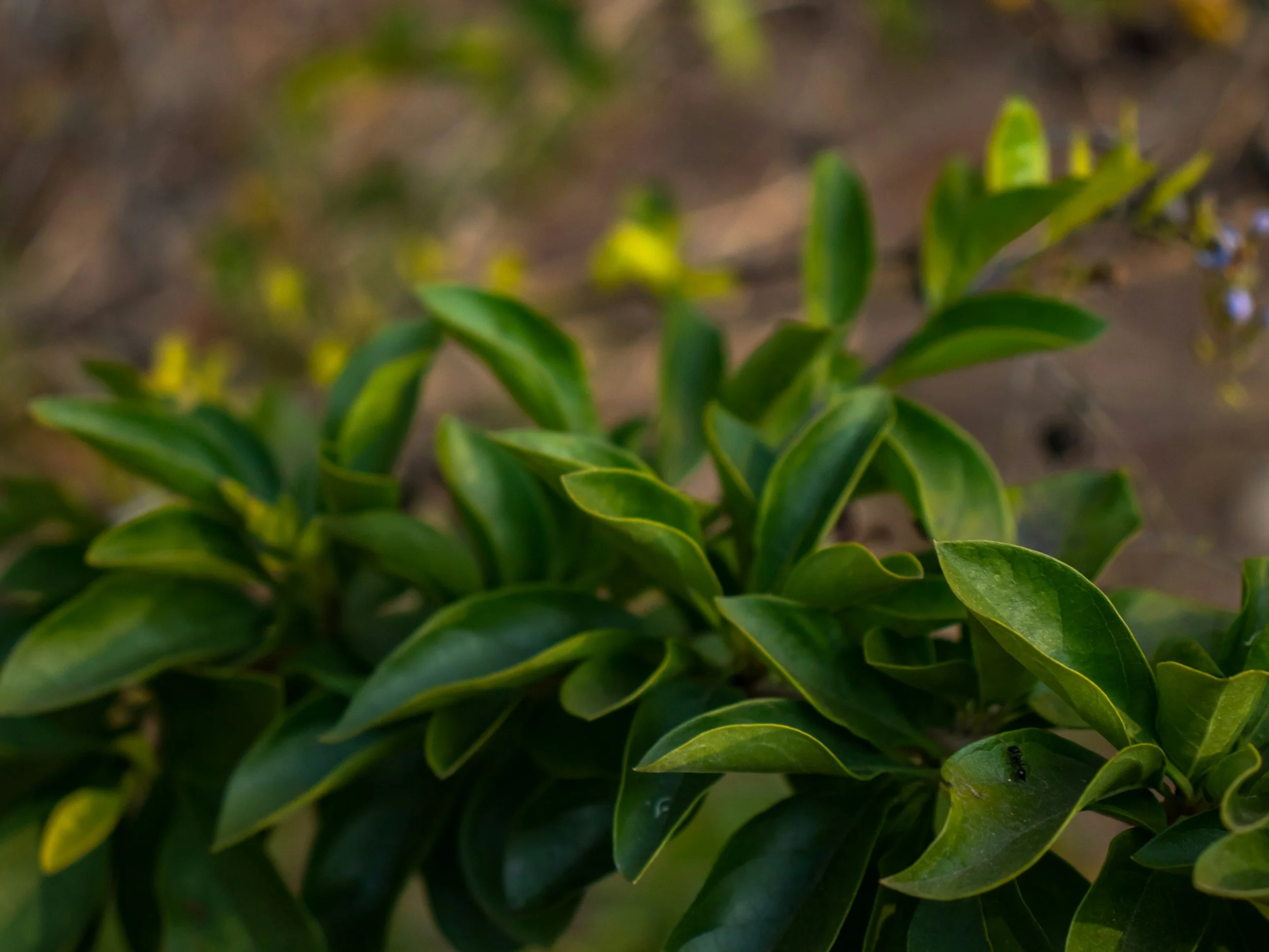 Self-Compassion Practices for Eating Disorder Recovery