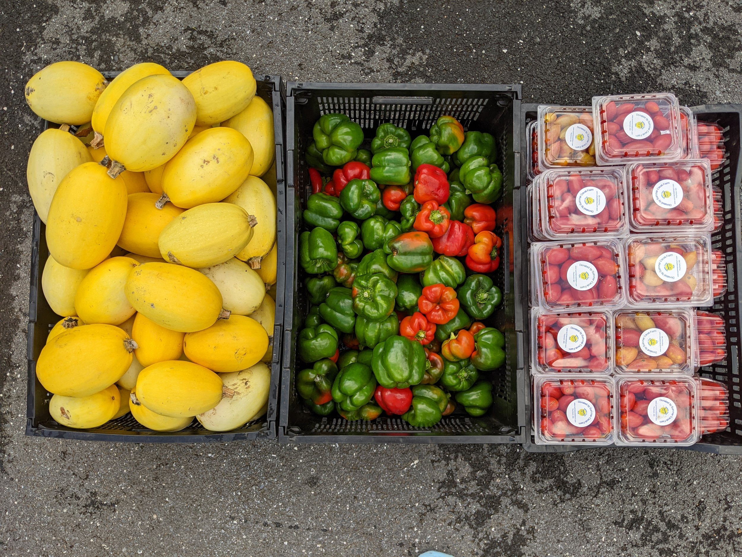 A Quiet Time on the Farm, Perfect for Picking Your Own Eggplant, Peppers,  Flowers, Herbs; Regional Peaches, Apricots, Plums; Coffees, Slushees,  Donuttees.