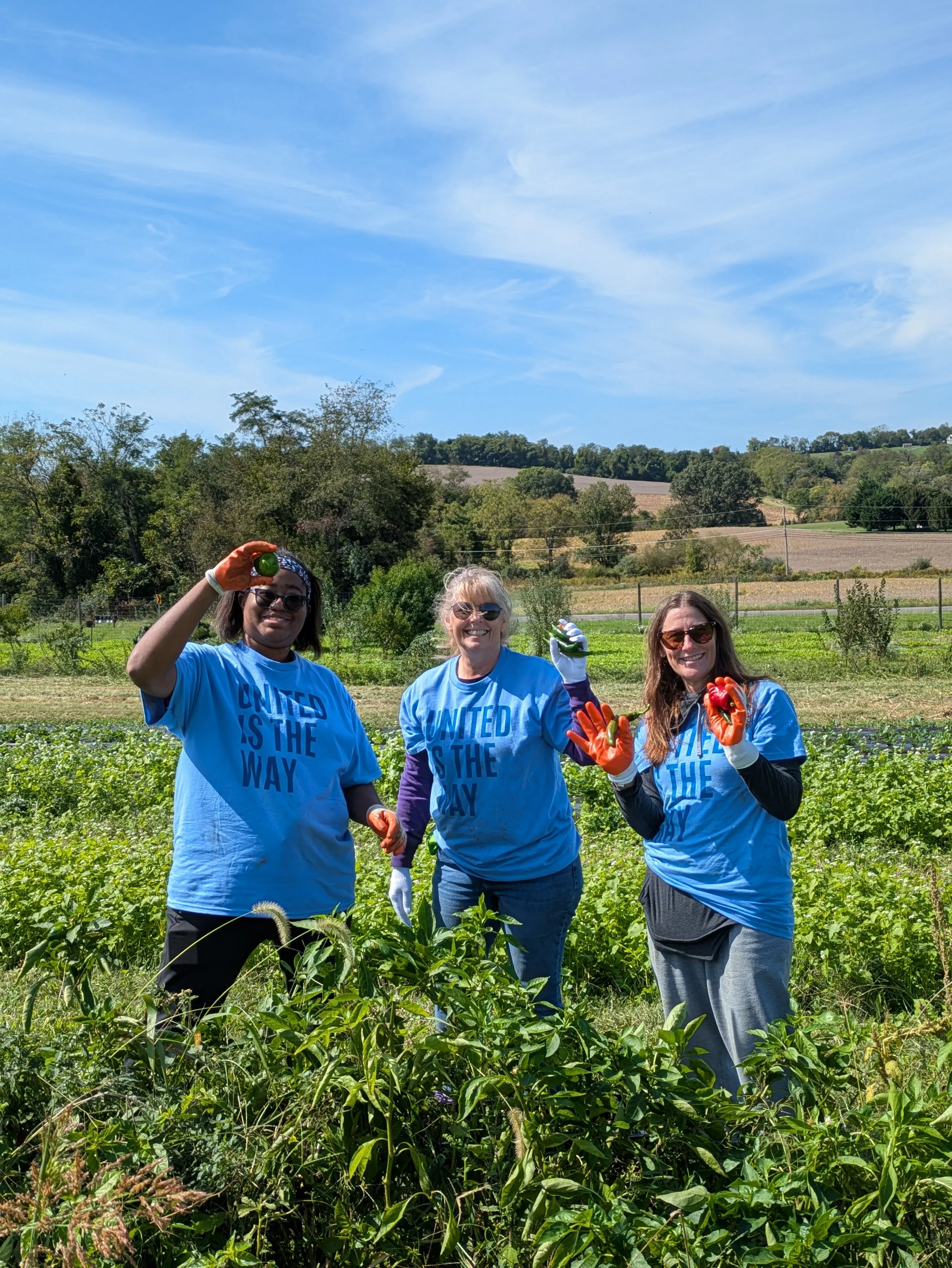 Development Committee