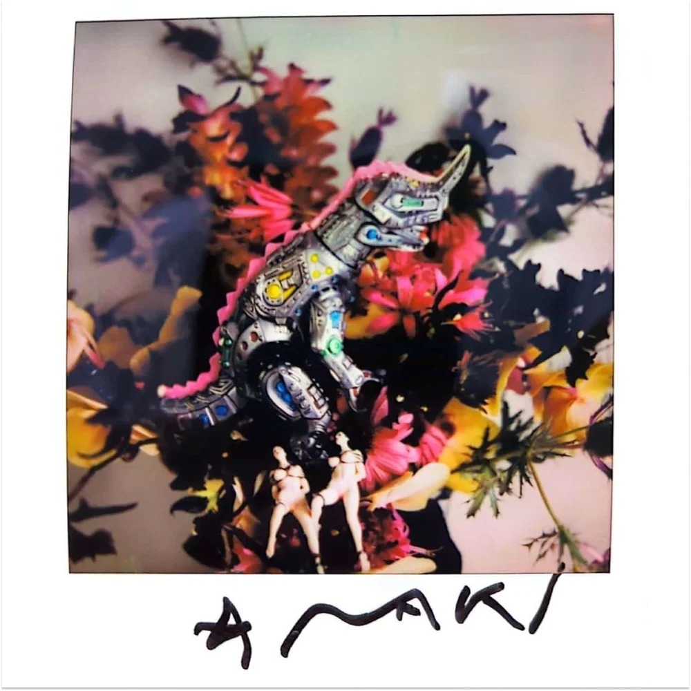 Nobuyoshi Araki unique signed polaroid Dope! Gallery