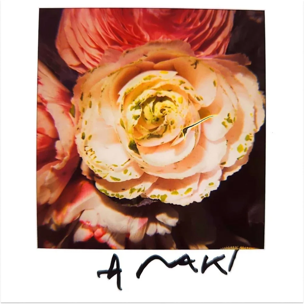 Nobuyoshi Araki unique signed polaroid Dope! Gallery