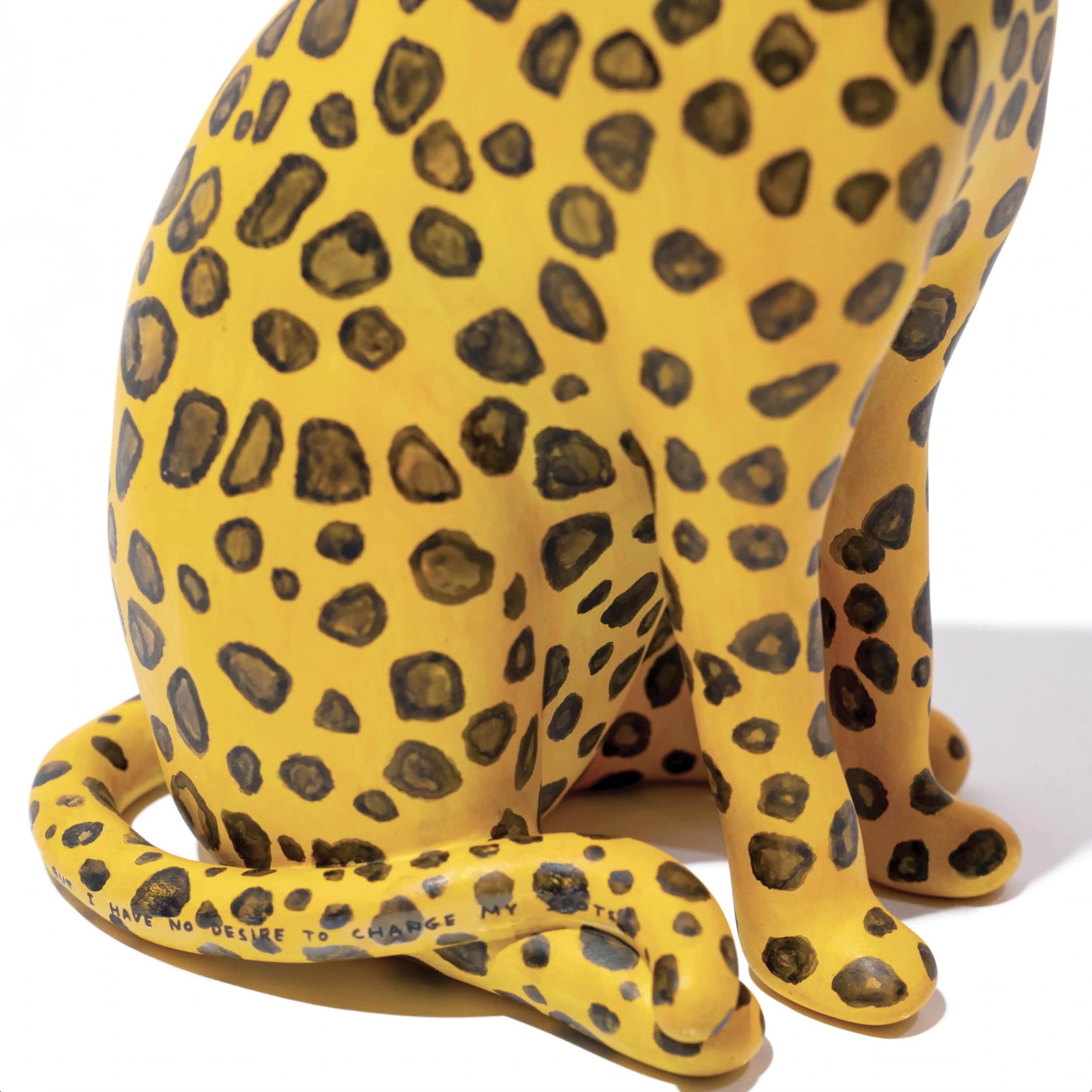 i-cannot-change-my-spots-but-i-david-shrigley-i-have-no-desire-to-change-my-spots-4.jpg