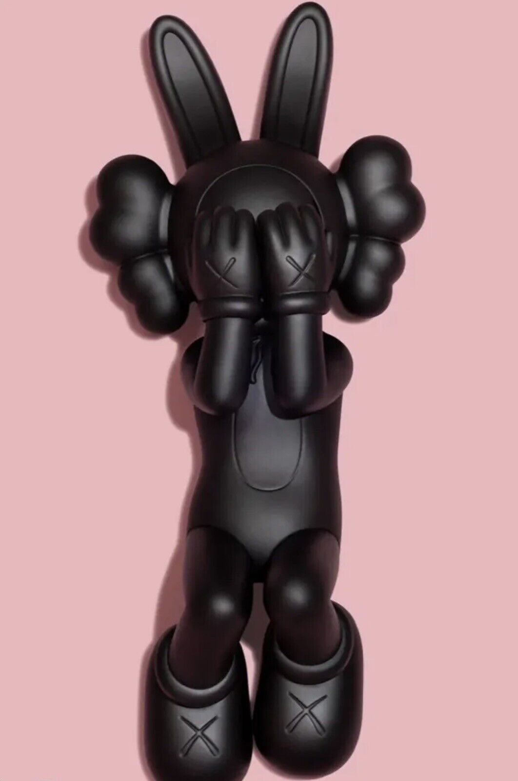 Guanxing Collectible Half Dissected Action Figure, Non-Moose Toy Model Kaws  Prototype Replica 20cm (Black) : : Toys