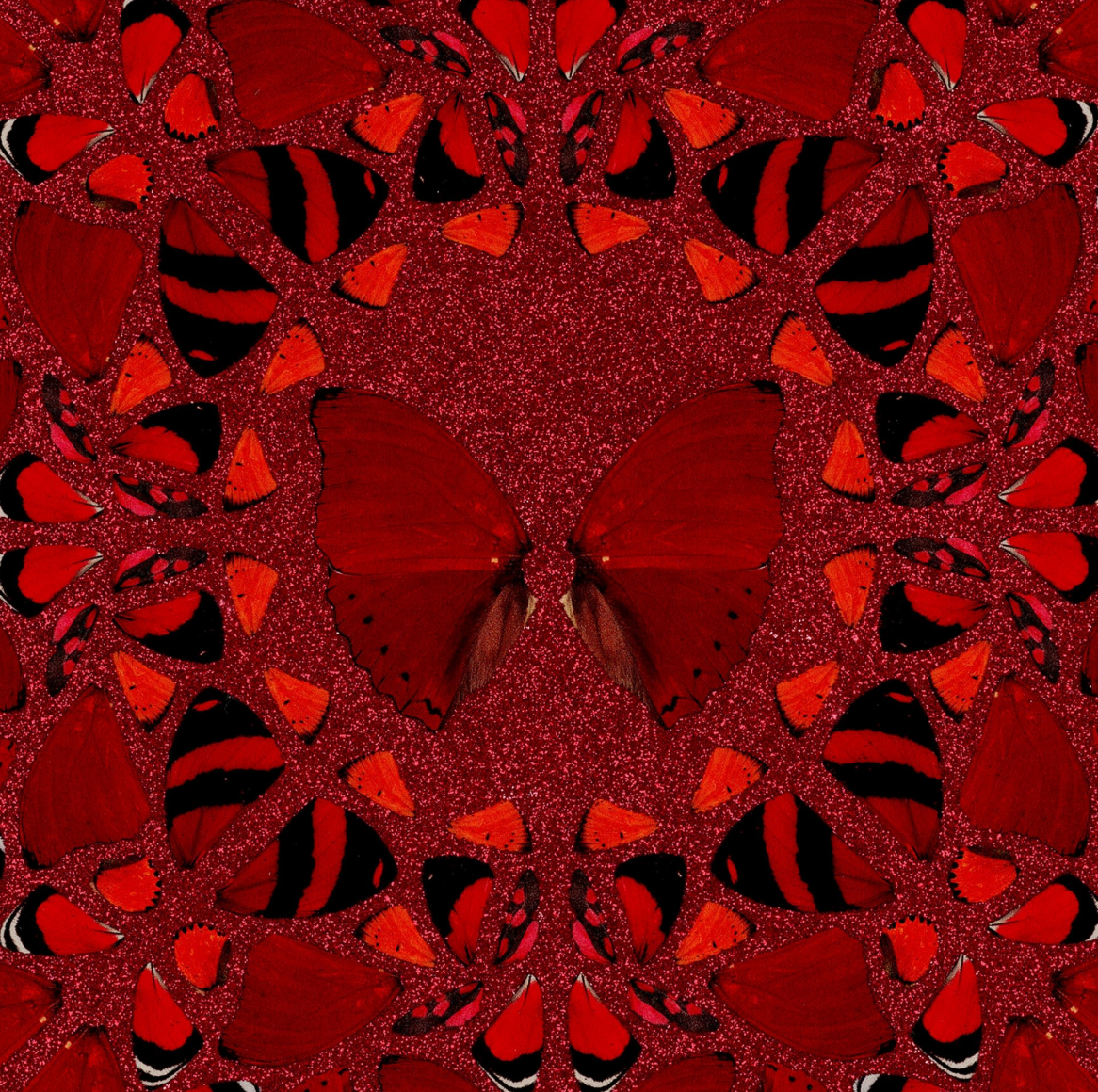 截屏2026-04-03 10.00.00.png