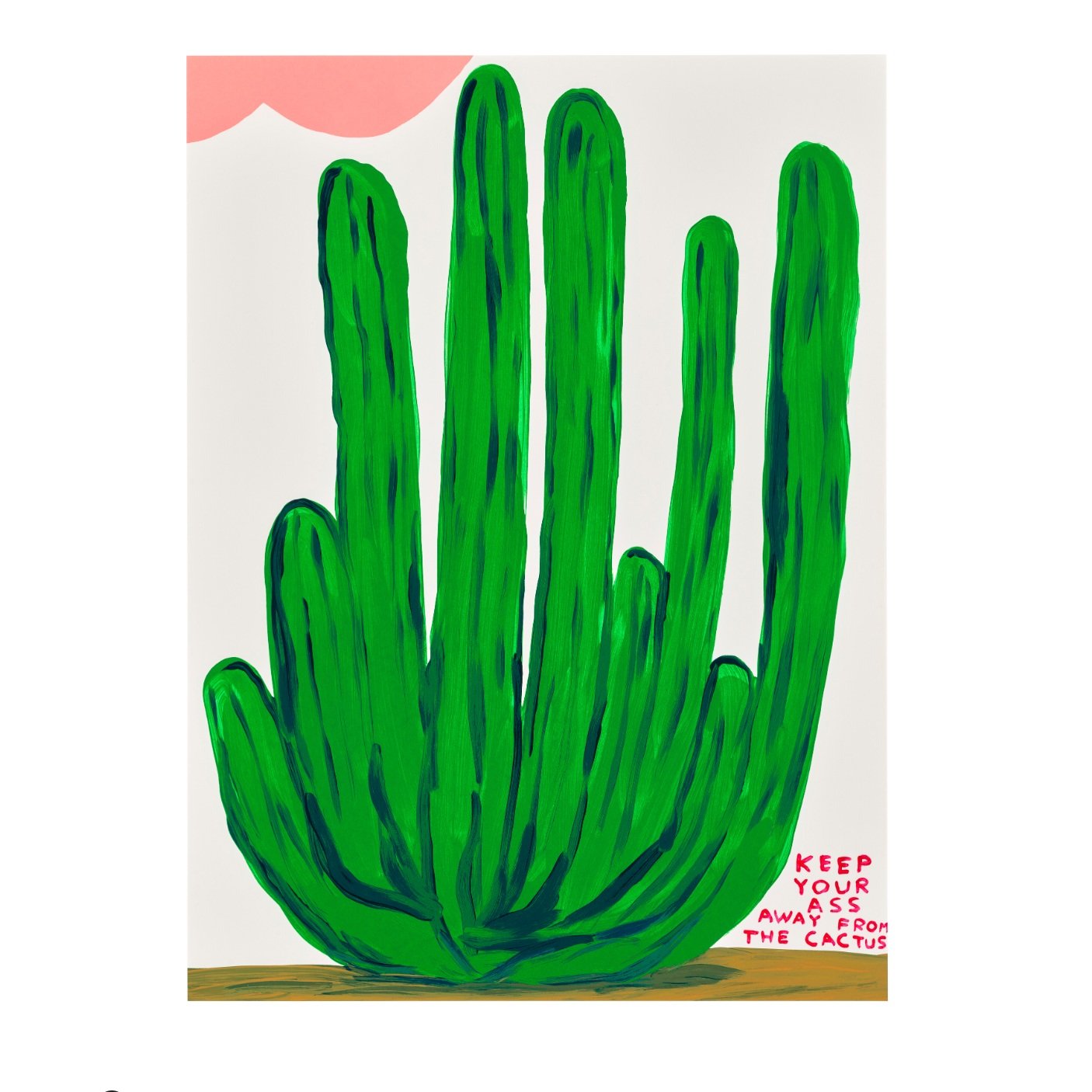 David+Shrigley-keep+your+ass+away+from+the+cactus+02.jpg