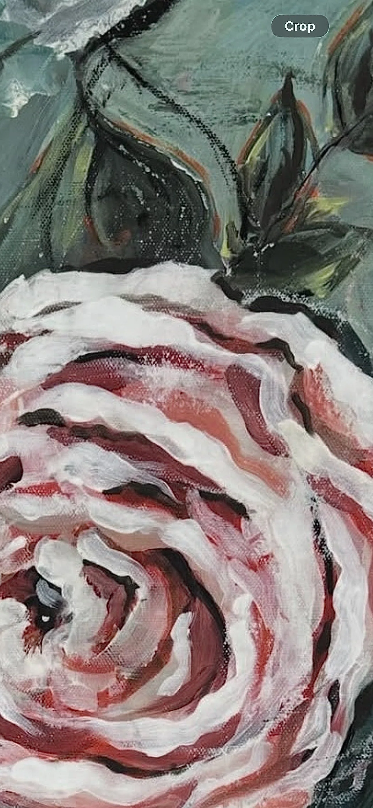 Midnight_Ranunculus_detail1.jpg