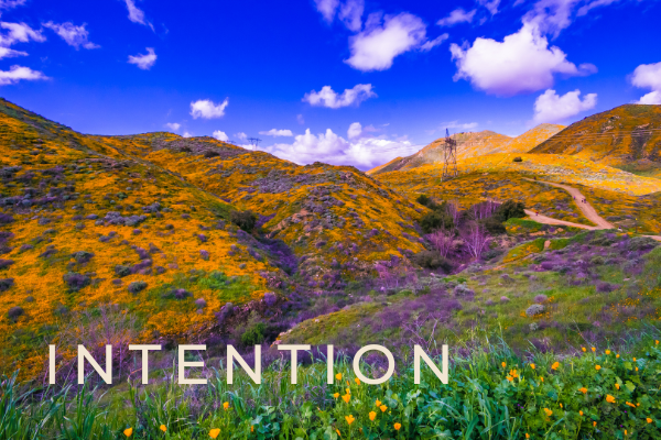  Intentions are more than just goals—they are the steps and necessary actions you’ll need to accomplish them. After setting your intention, I’ll be your accountability partner to help you process your discoveries. 