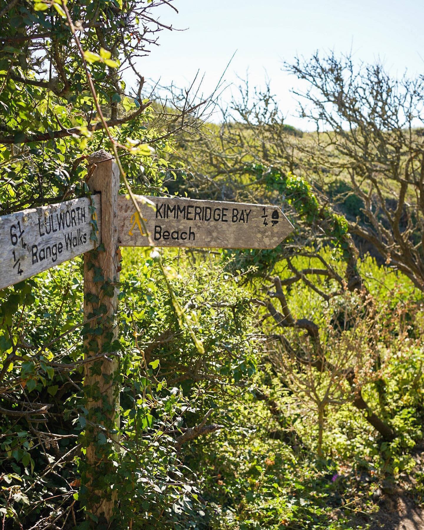 Walking in Kimmeridge 🥾 We&rsquo;ve picked our favourite route along the South West Coastal path for you to try this weekend! Find out more and the route on our latest blog at the link in bio 👆

#kimmeridge #kimmeridgebay #southwestcoastalpath #sou