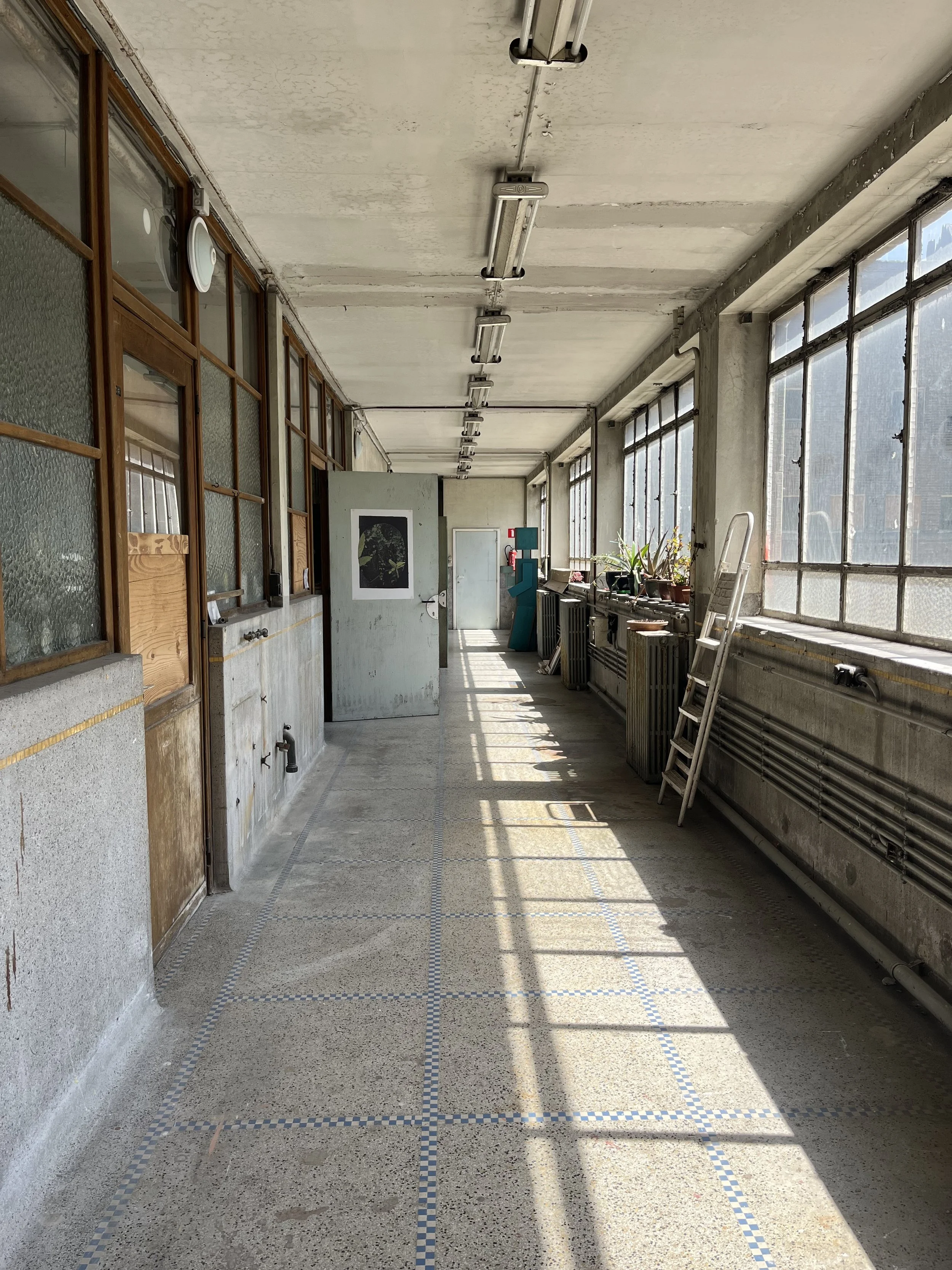 Gang met ateliers in gewezen Veeartsenijschool