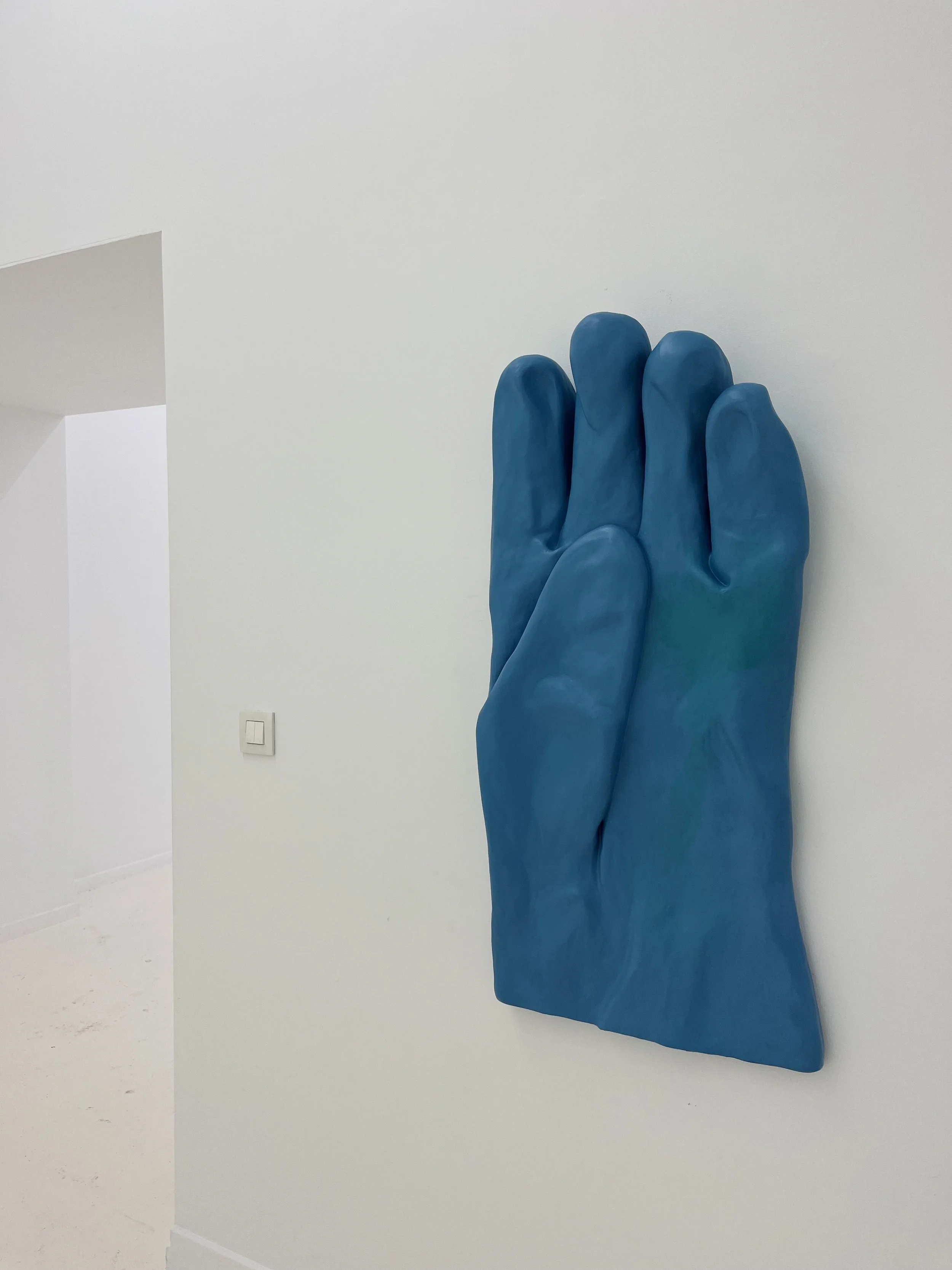 Heavy Duty Rubber Glove