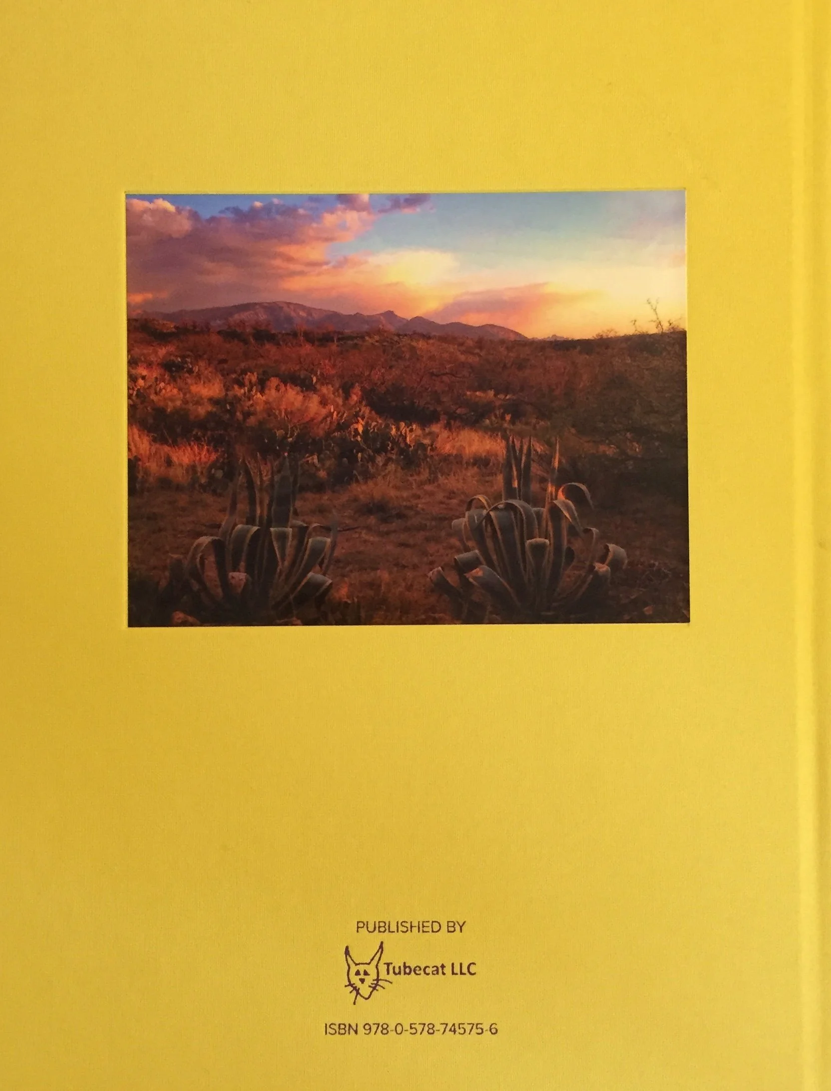 back cover.jpg