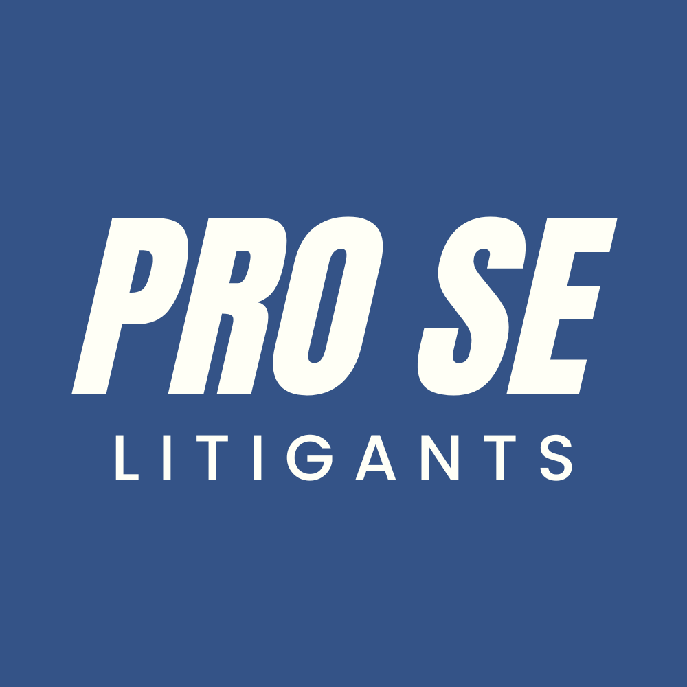 Pro Se Plaintiff Wrongly Precluded From Presenting Evidence At Custody Hearing