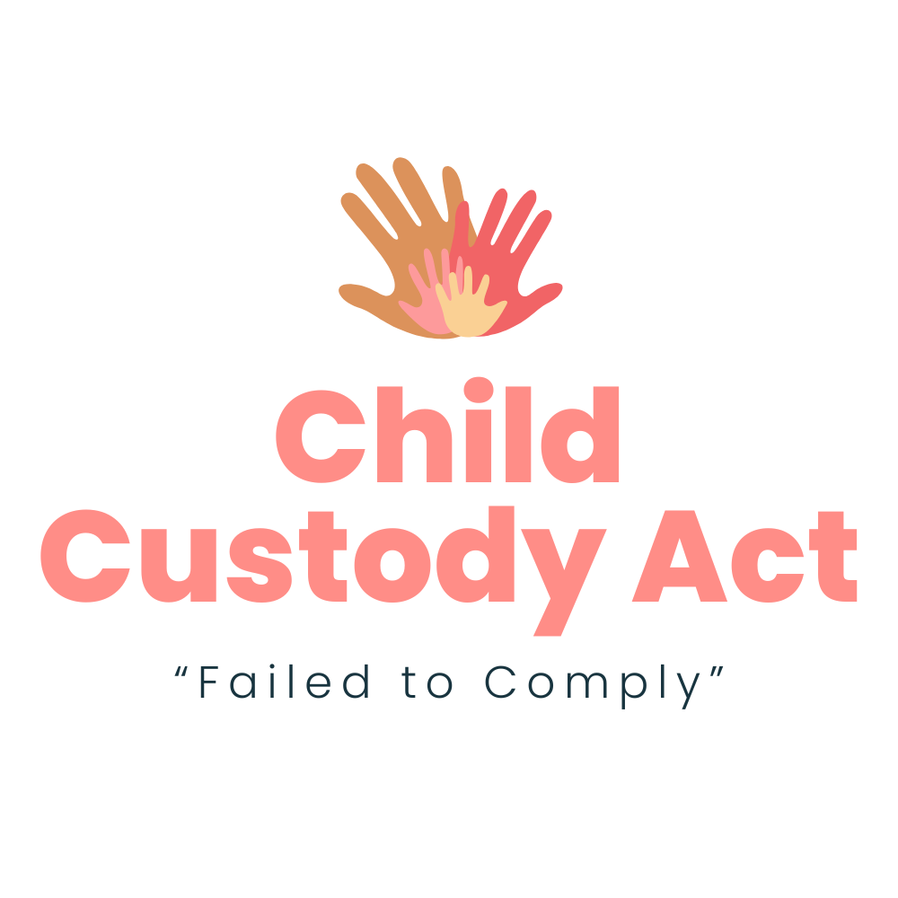 MSC Justice Explains How Trial Court “Clearly Did Not Comply” With Child Custody Act