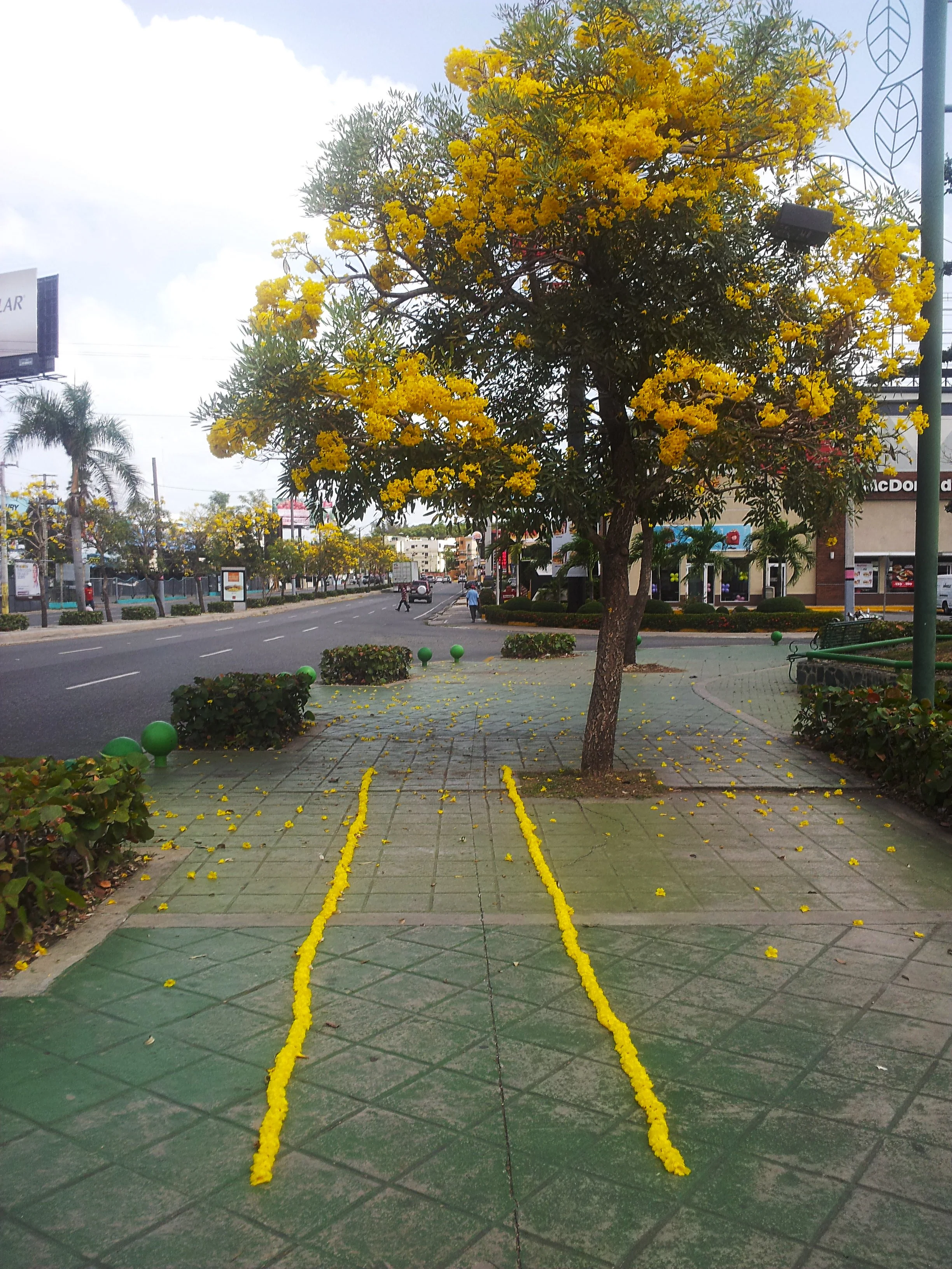 Paseo Horizontal 2015
Performance instalación efimera