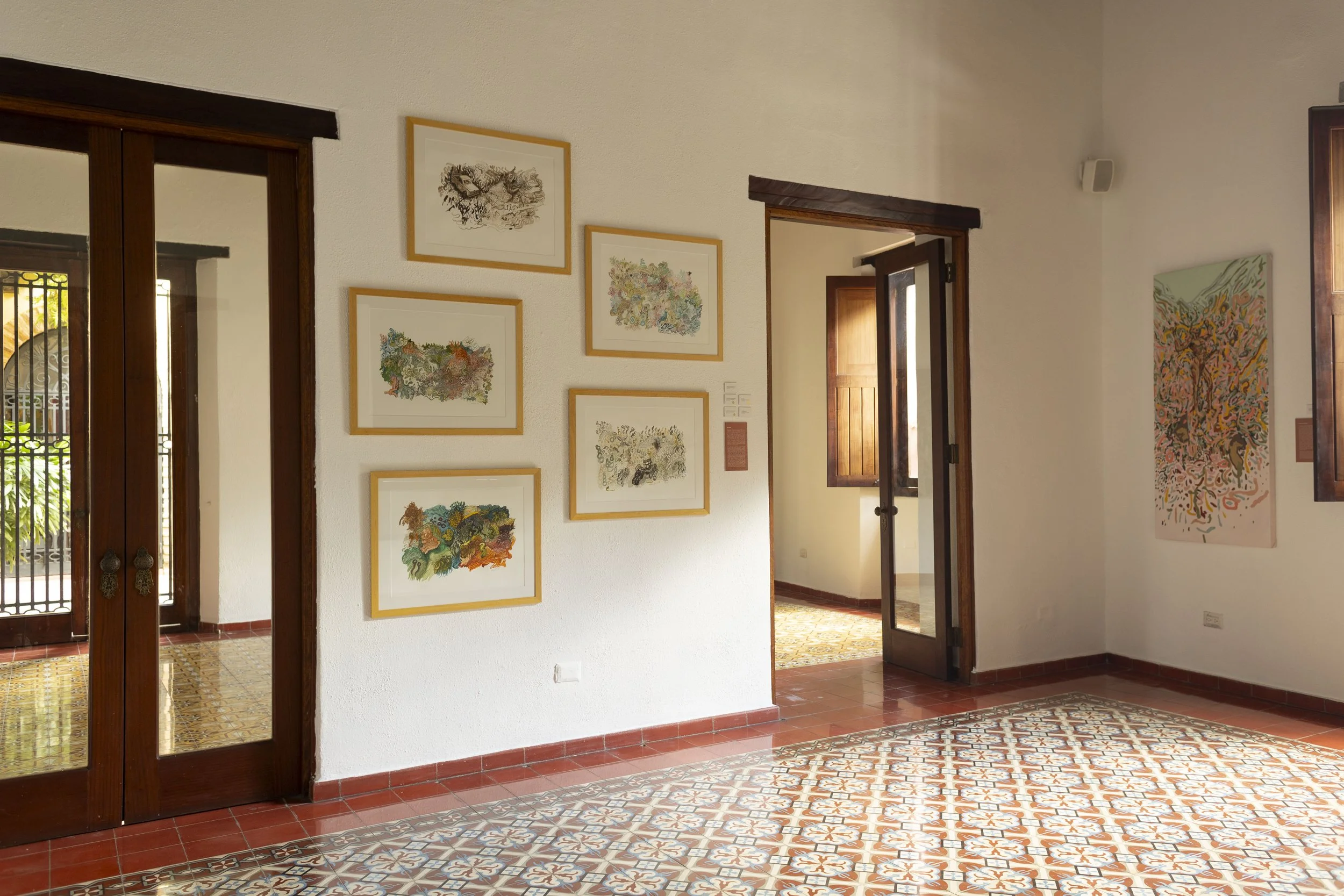 "Hubo que sacar al laurel para que entrara el almácigo" 
Museo Fernando Peña Defilló
Curaduría Rab Messina