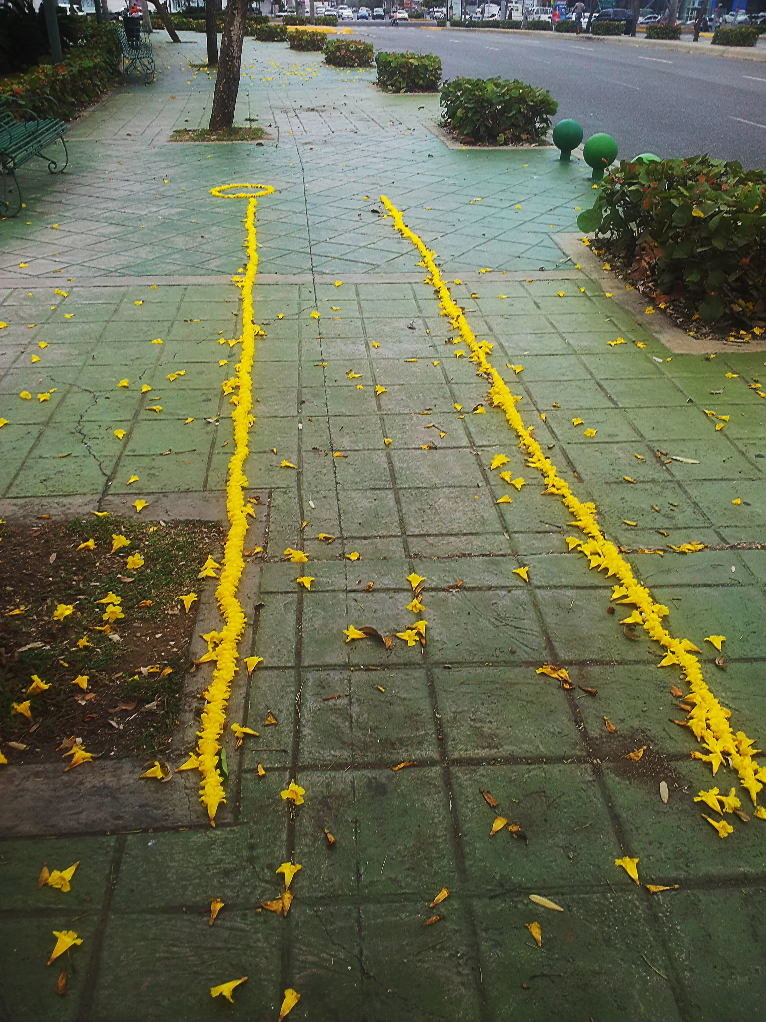 Paseo Horizontal 2015
Performance instalación efimera