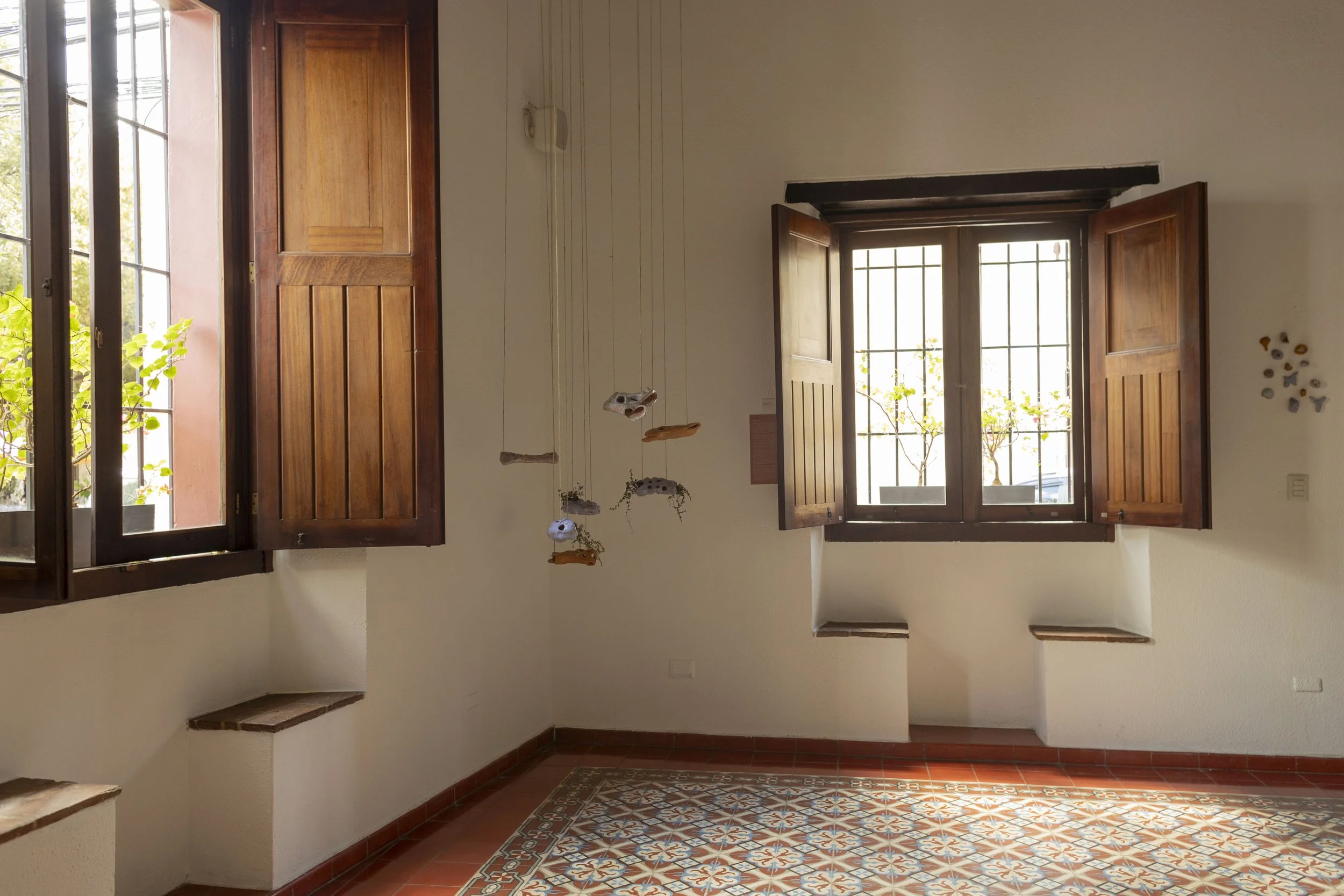 "Hubo que sacar al laurel para que entrara el almácigo" 
Museo Fernando Peña Defilló
Curaduría Rab Messina