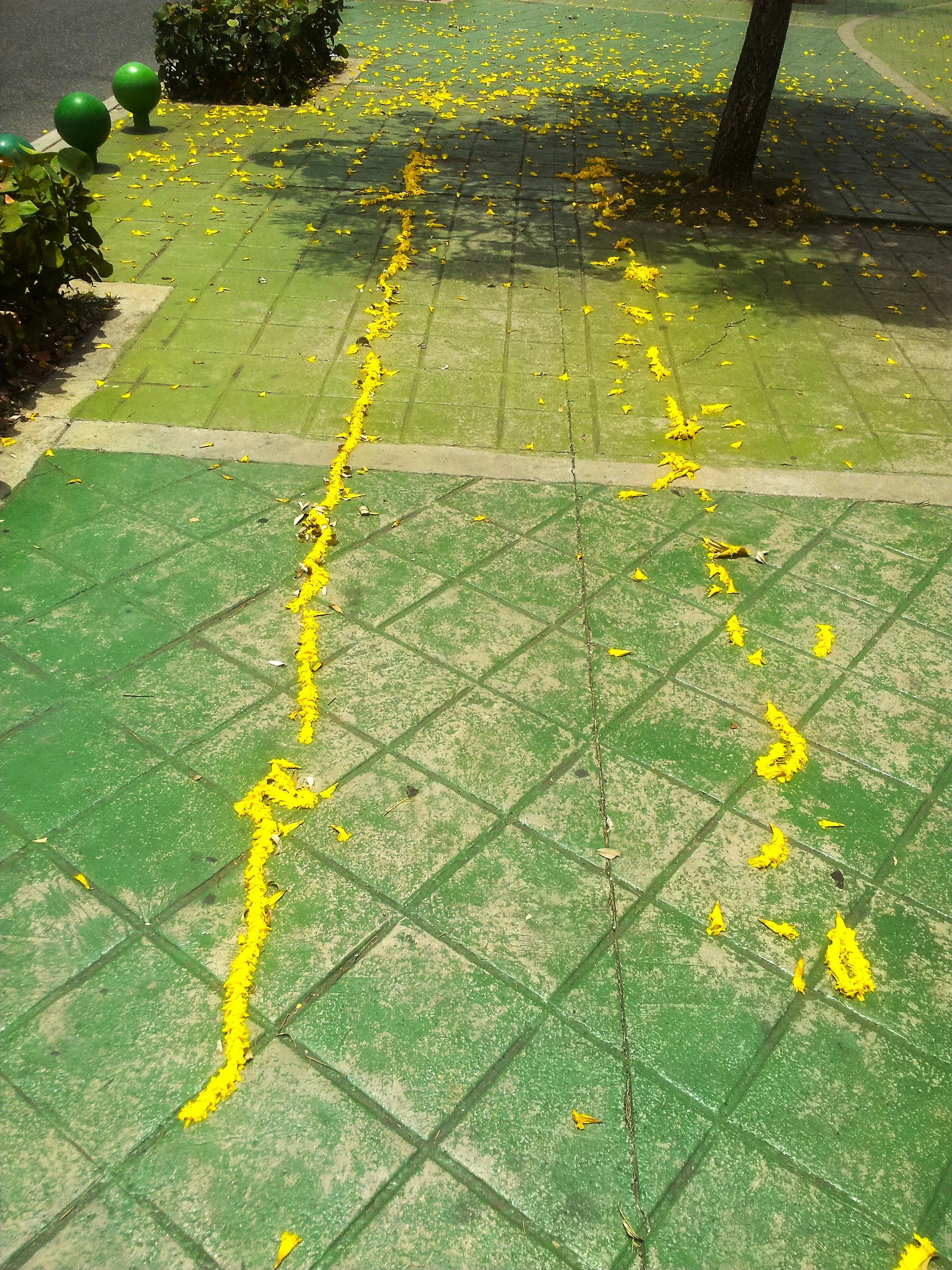 Paseo Horizontal 2015
Performance instalación efimera