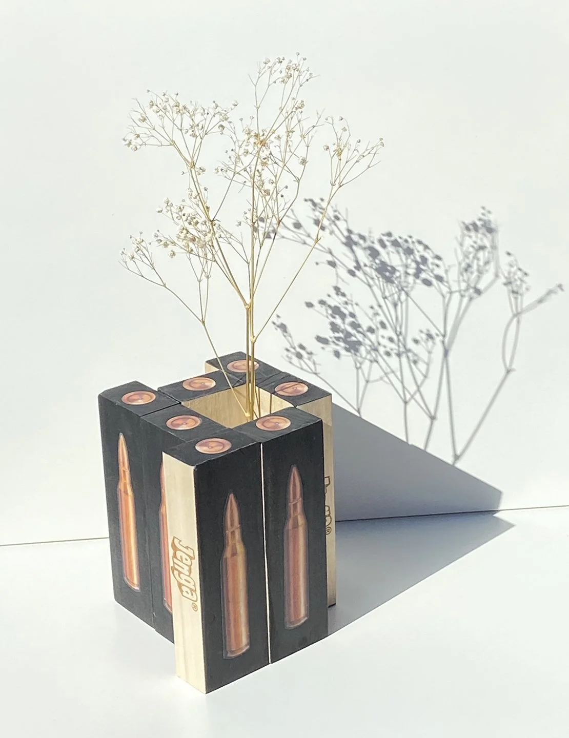 Claudia Maysen    |   Multidisciplinary